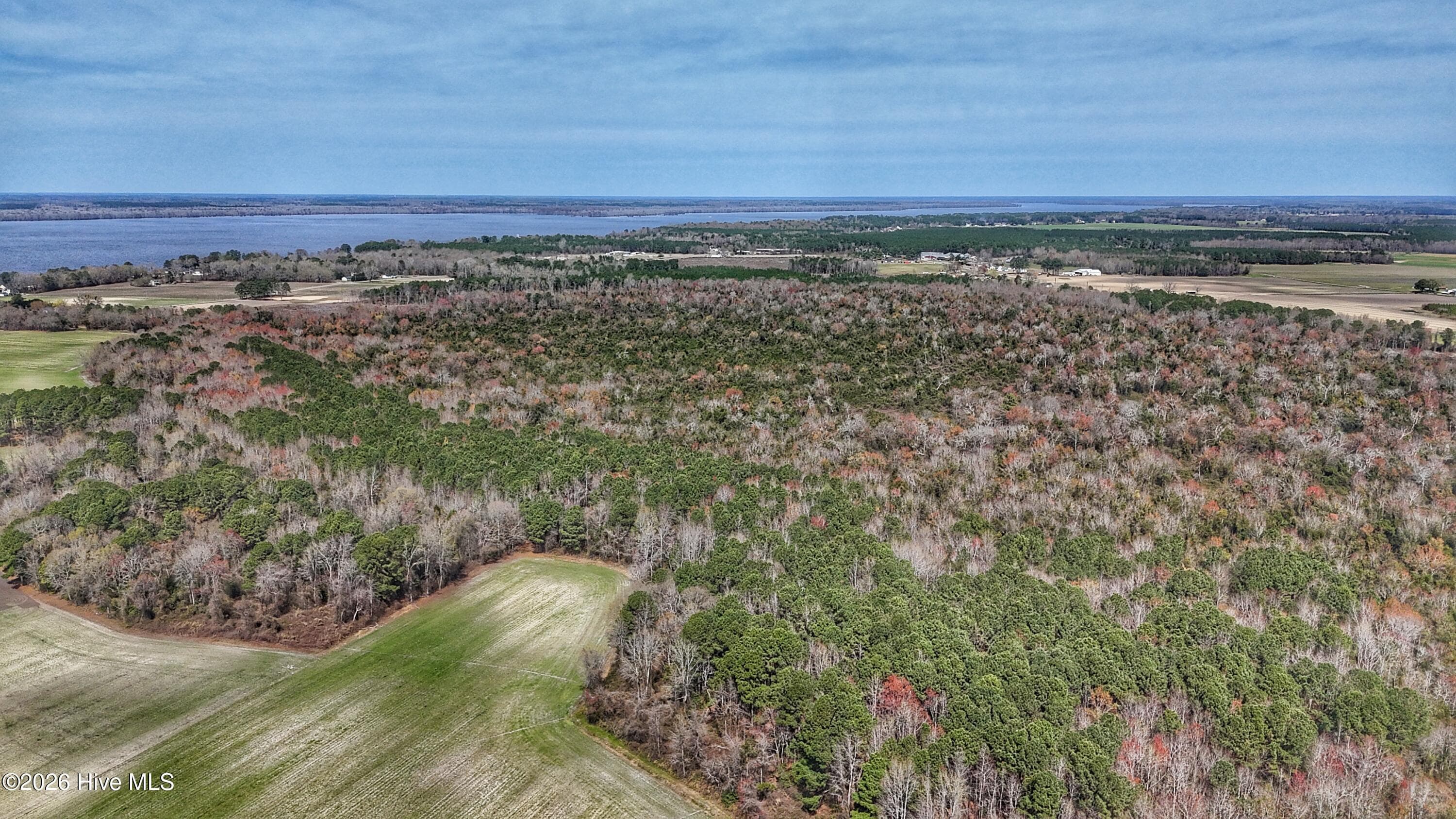 Wooded at 1612 Rocky Hock Landing Road, Edenton, NC 27932, photo 28 of 45
