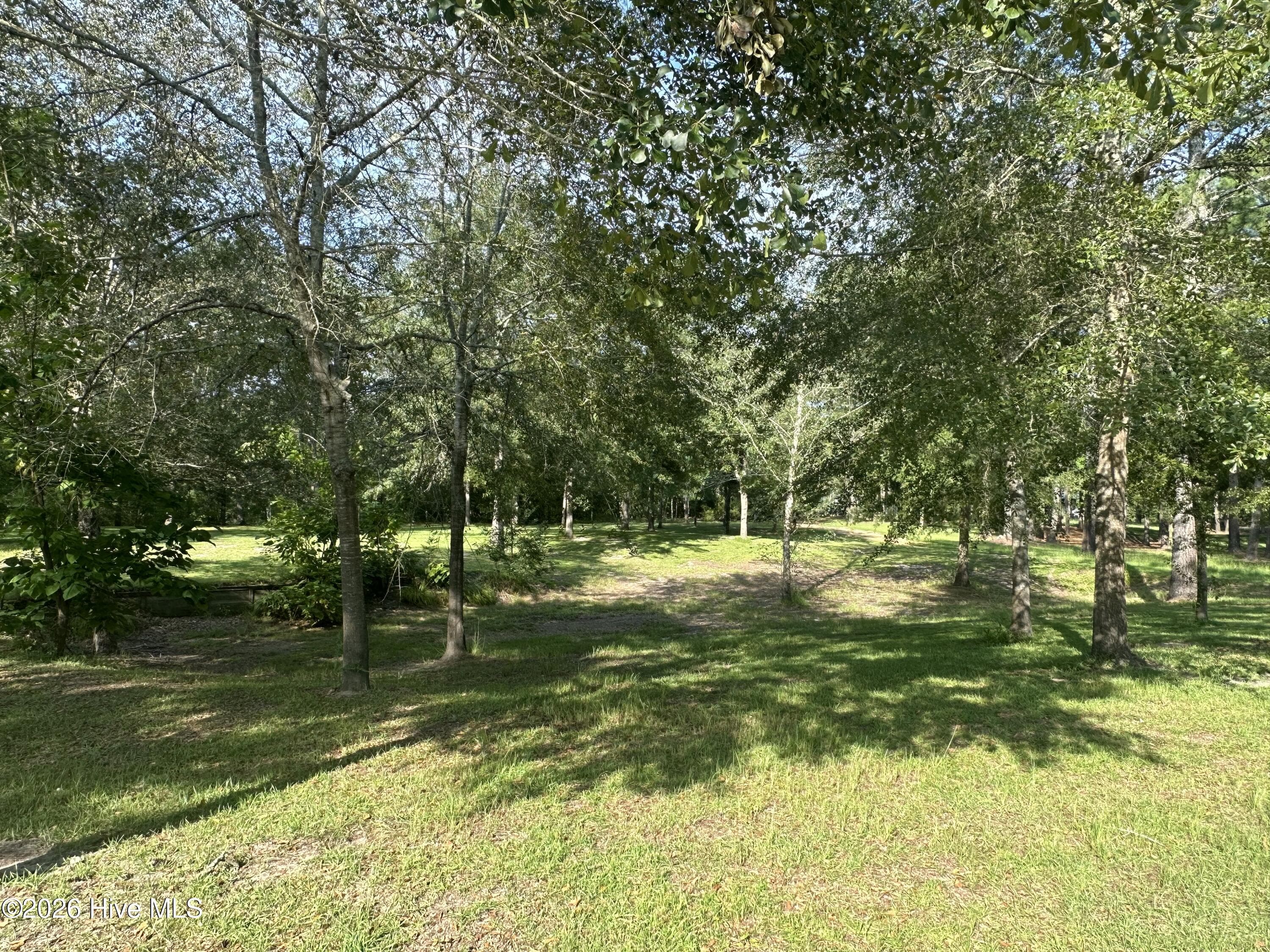 Residential Lot at 43 Black River Lane, Harrells, NC 28444, photo 7 of 15