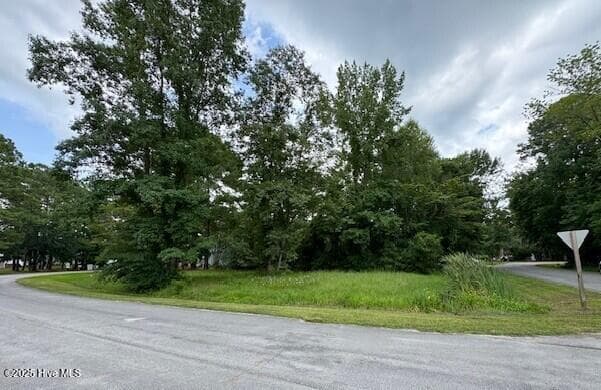 113 Channel Run Drive, River Bend, NC 28562