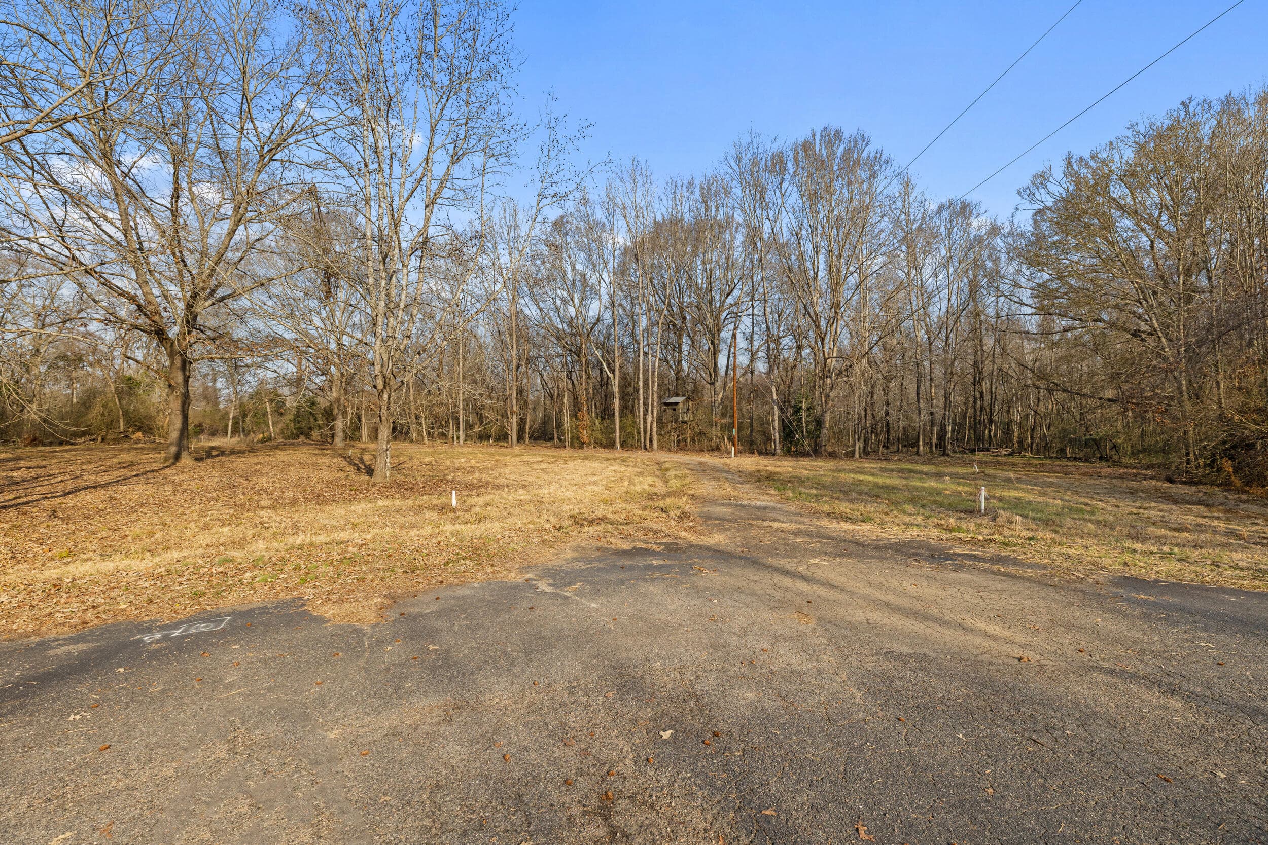 Undeveloped at 2281 Riverside Plantation Road, Jackson, SC 29831, photo 8 of 21