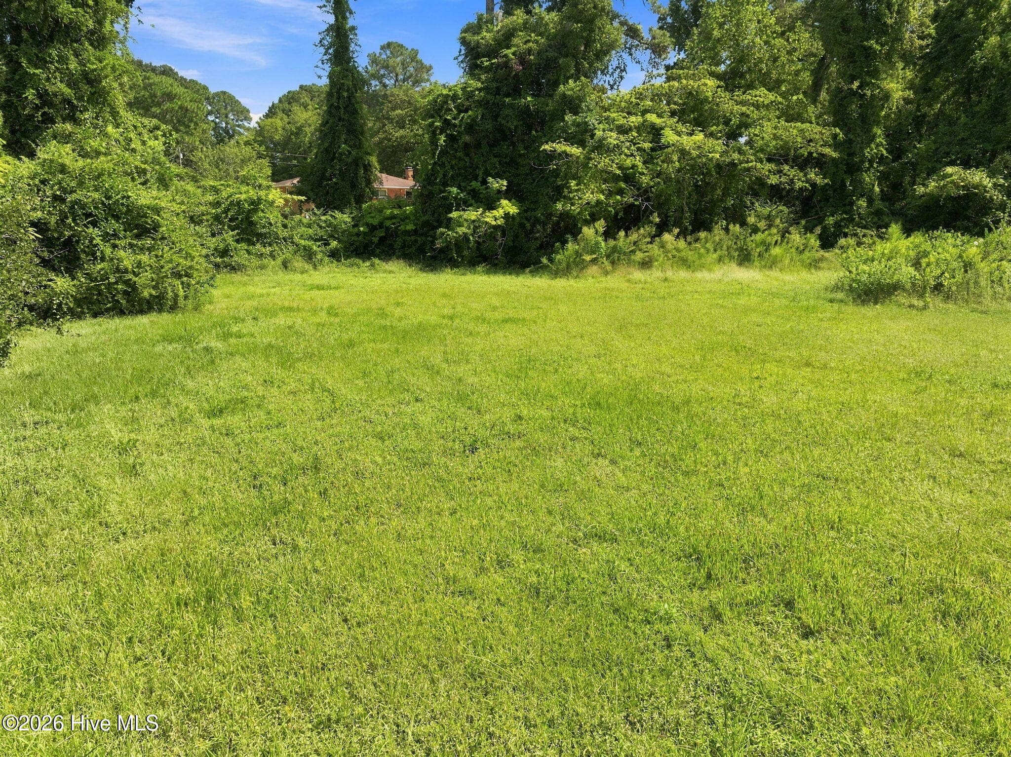 Residential Lot at 119 Mike Loop Road, Jacksonville, NC 28546, photo 7 of 16