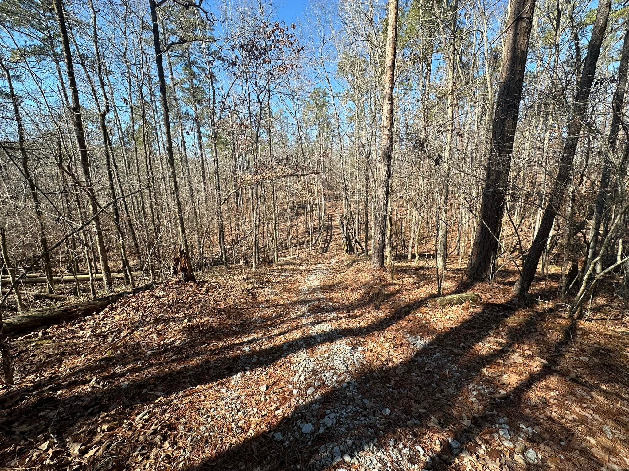 Residential Lot at Lot 31 31 Willow Way, Lincolnton, GA 30817, photo 11 of 24