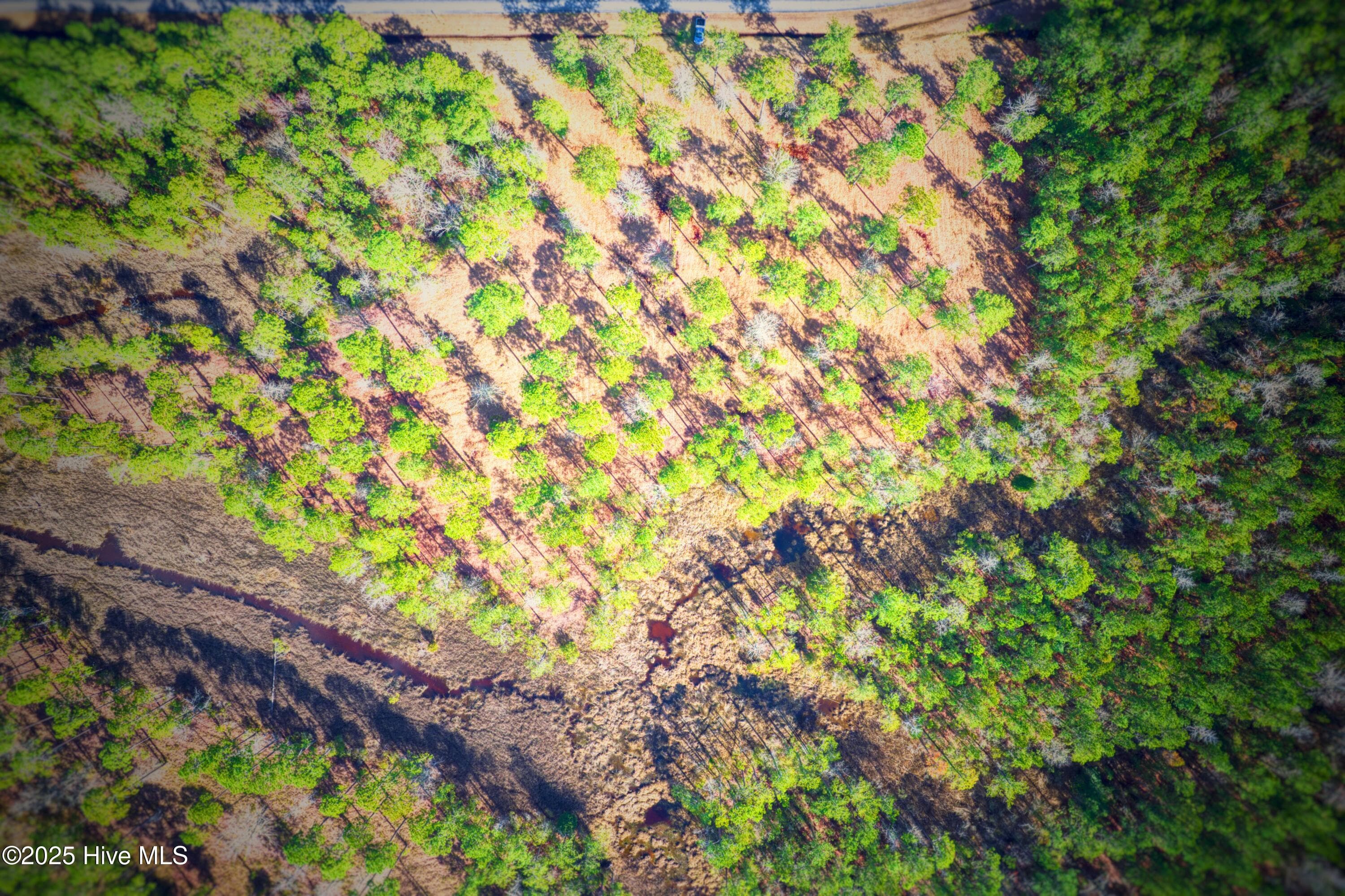 Residential Lot at 203 Paradox Point Drive, Aurora, NC 27806, photo 3 of 14