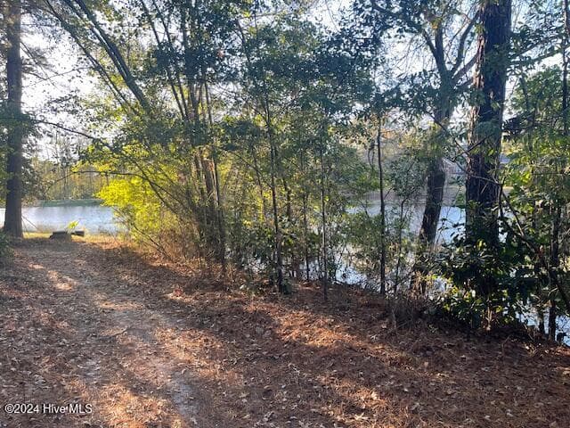 Wooded at 408 Lot 4, Block F, Lake Pines Drive, La Grange, NC 28551, photo 3 of 12