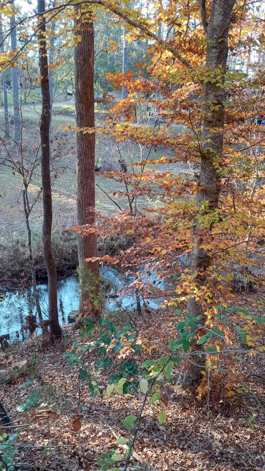 Residential Lot at 2722 Sc-23, Modoc, SC 29838, photo 35 of 62