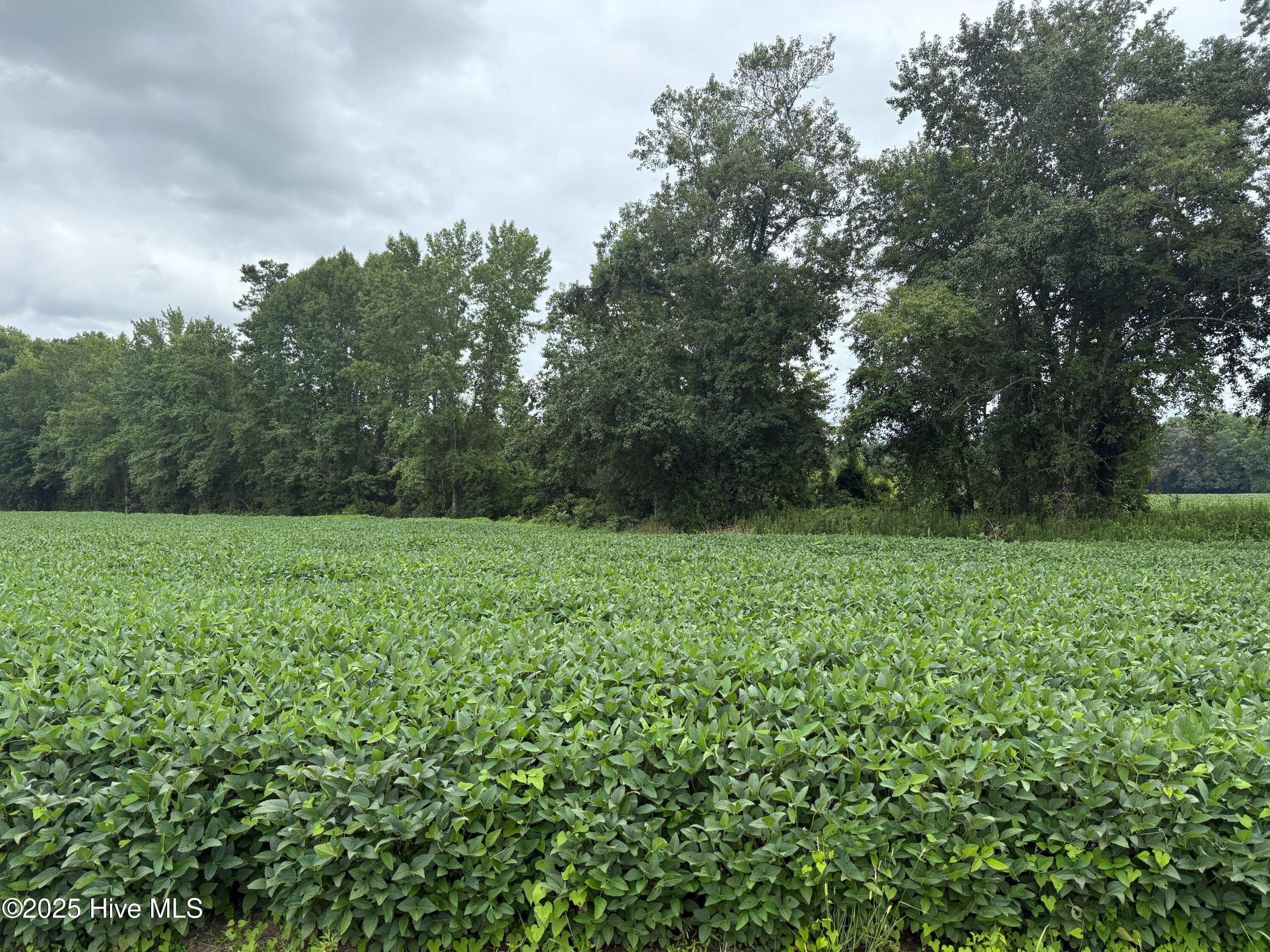 0 Sr 1932 Off, Aurora, NC 27806
