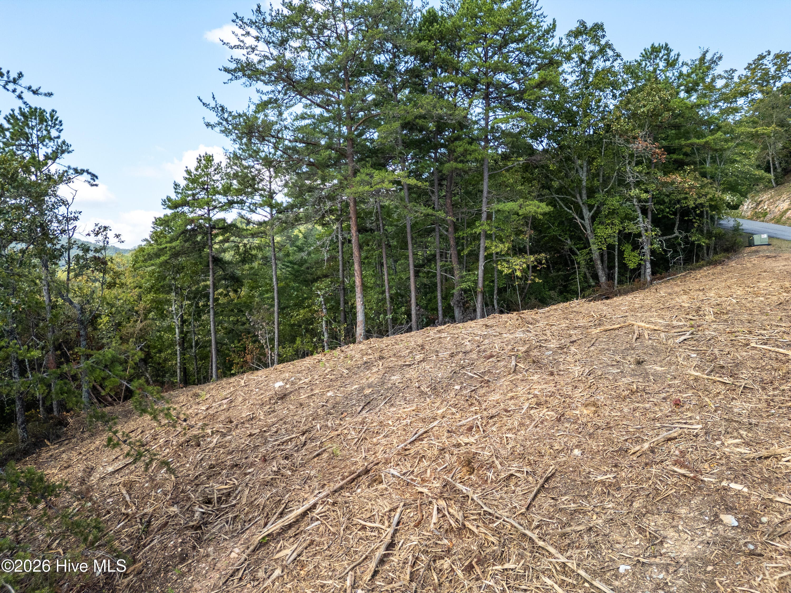 Residential Lot at Lot 157 Crossover Lane, Murphy, NC 28906, photo 16 of 18