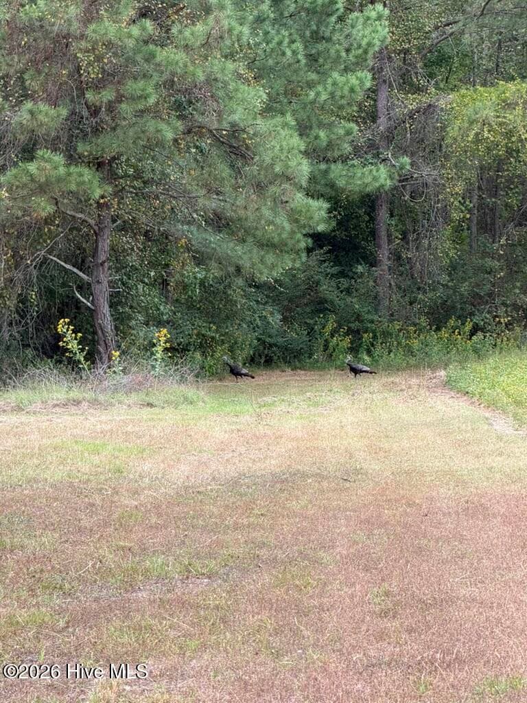 Single Family Residence at 1708 Nc Highway 45, Cofield, NC 27922, photo 52 of 86