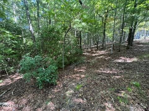 Residential Lot at Lot 1 1 Laurelwood Circle, Murphy, NC 28906, photo 20 of 24