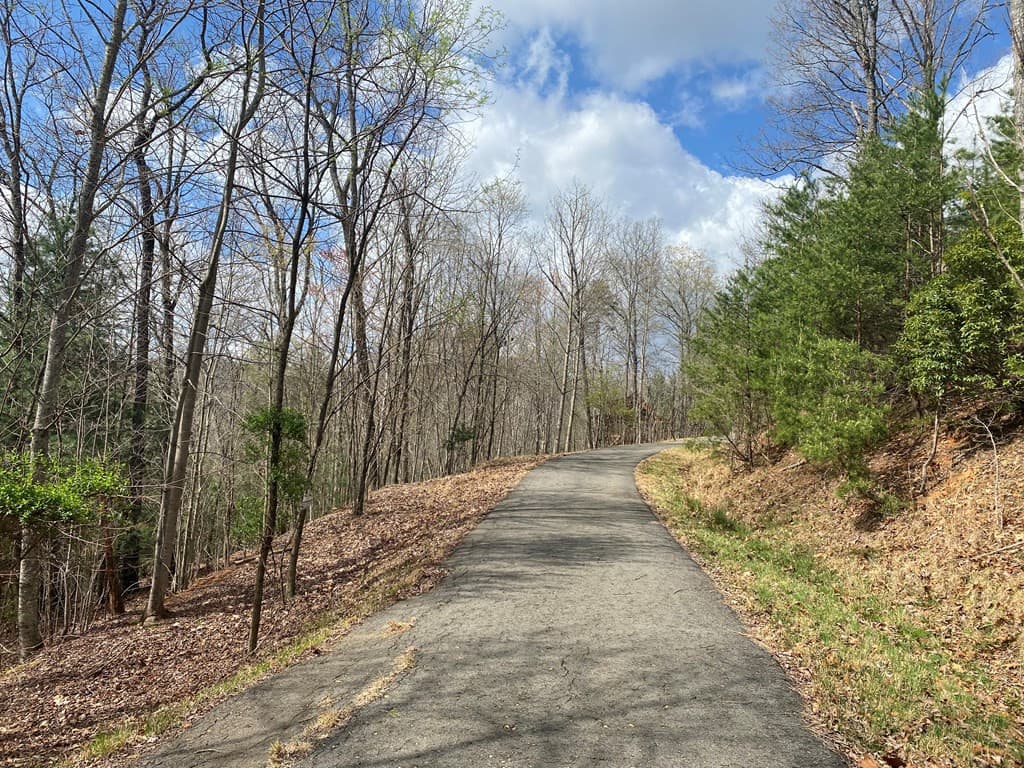 Residential Lot at Lot 62 62 Jitterbug Lane, Murphy, NC 28906, photo 3 of 4