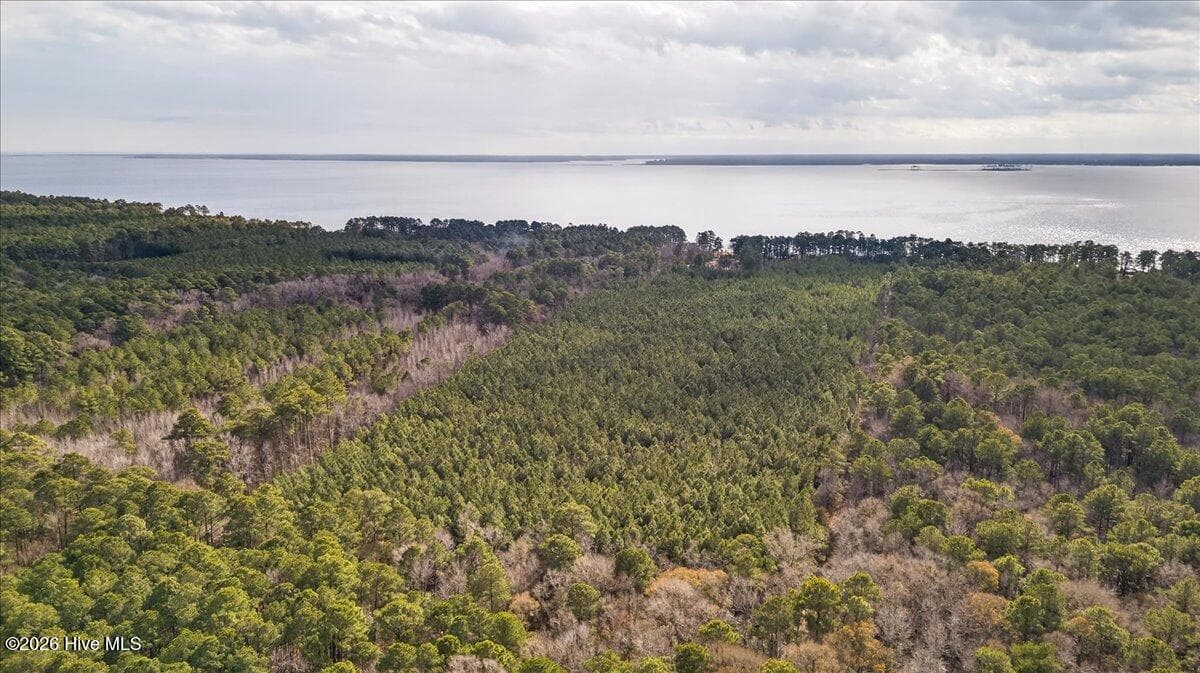 Wooded at 2162 Old Pamlico Beach Road W, Belhaven, NC 27810, photo 20 of 25
