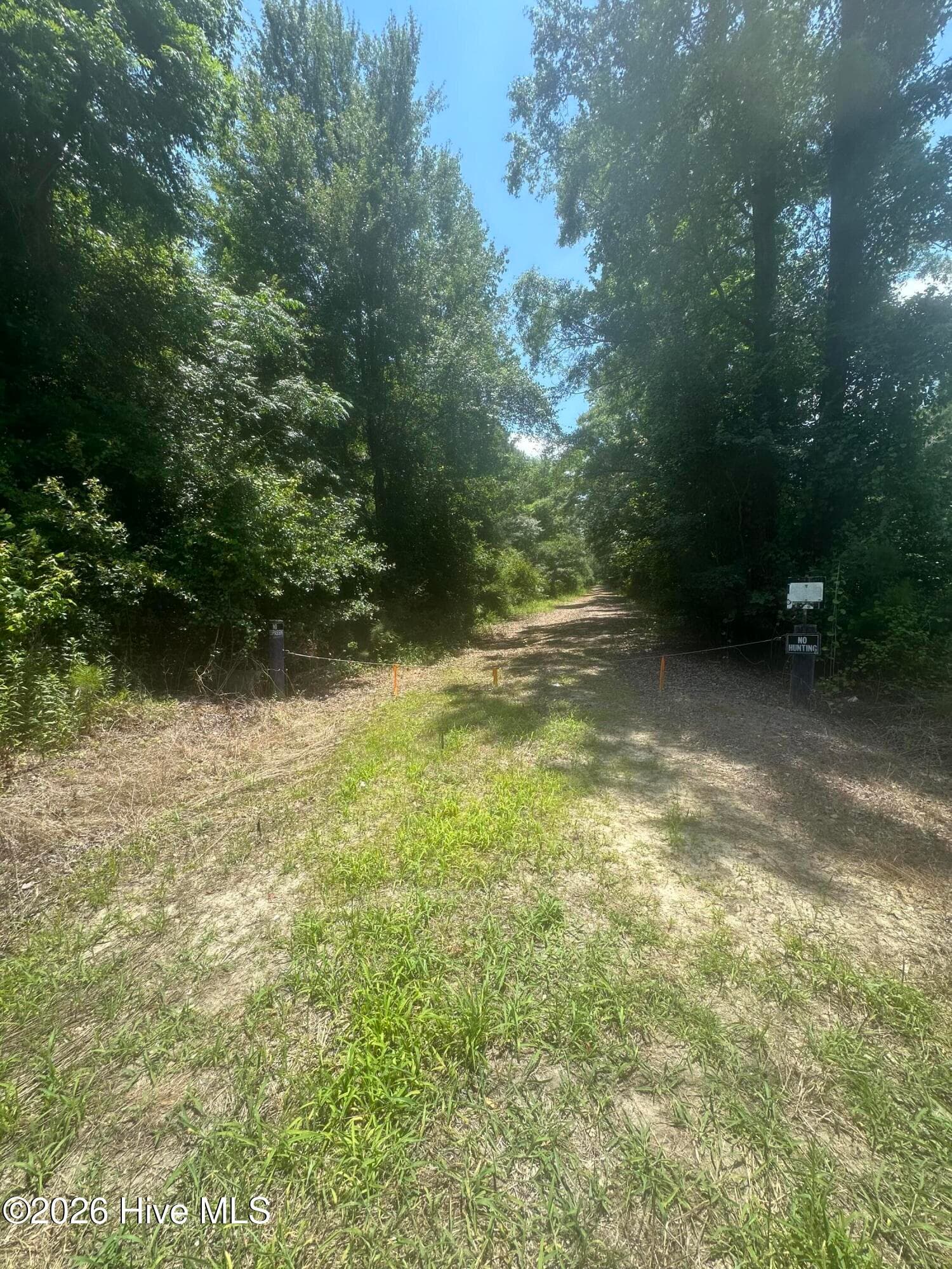 Wooded at Near 721 Near 721 Joe Piver R Road, Chadbourn, NC 28431, photo 3 of 21