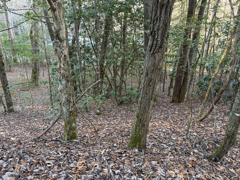 Wooded at 00 23 Old Faber Road, Topton, NC 28781, photo 3 of 10