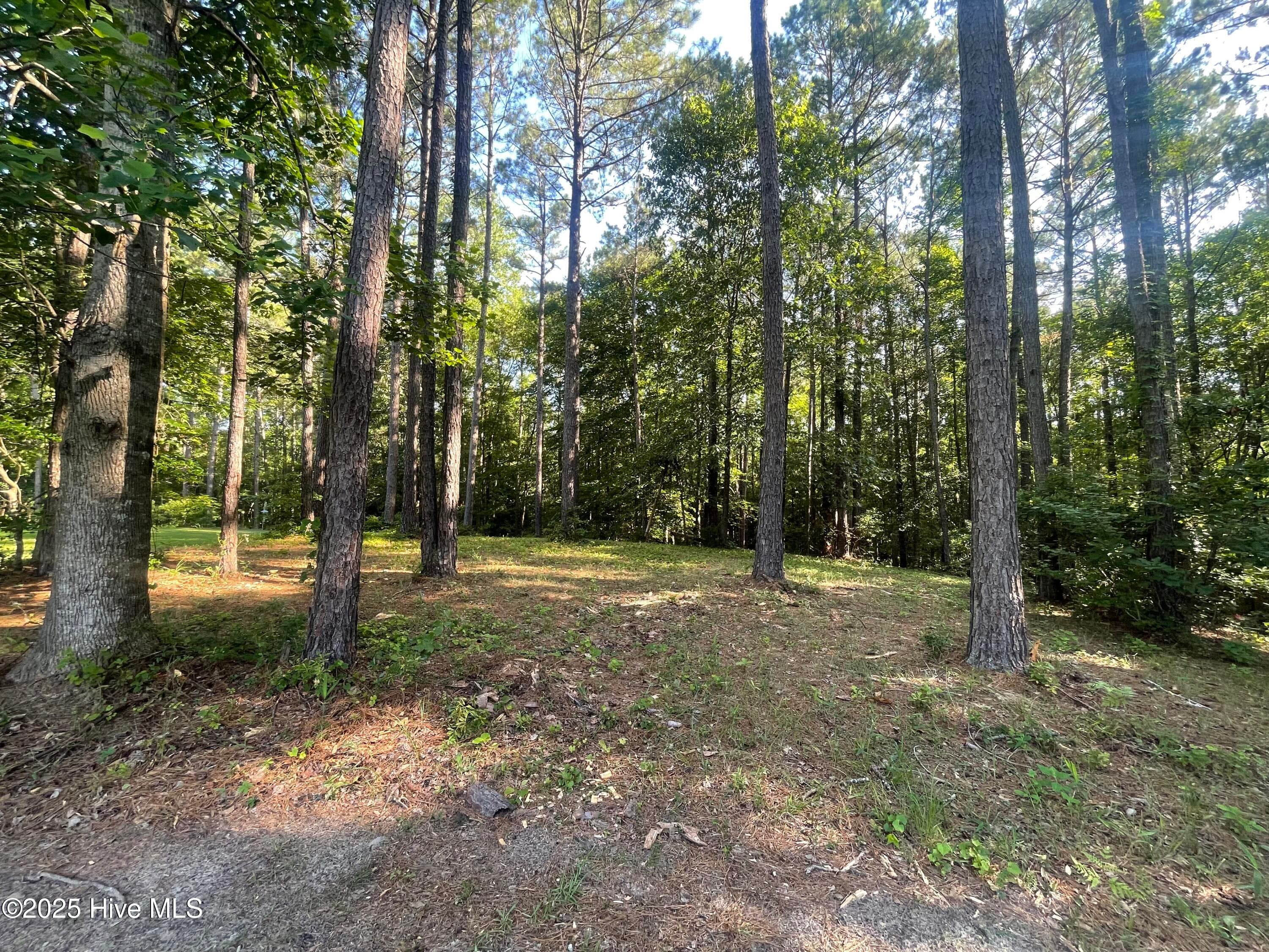 Residential Lot at 112 39 Chickory Lane, Minnesott Beach, NC 28510, photo 2 of 2