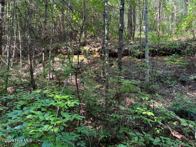 Residential Lot at 5 Tyler Lane, Marble, NC 28905, photo 3 of 28