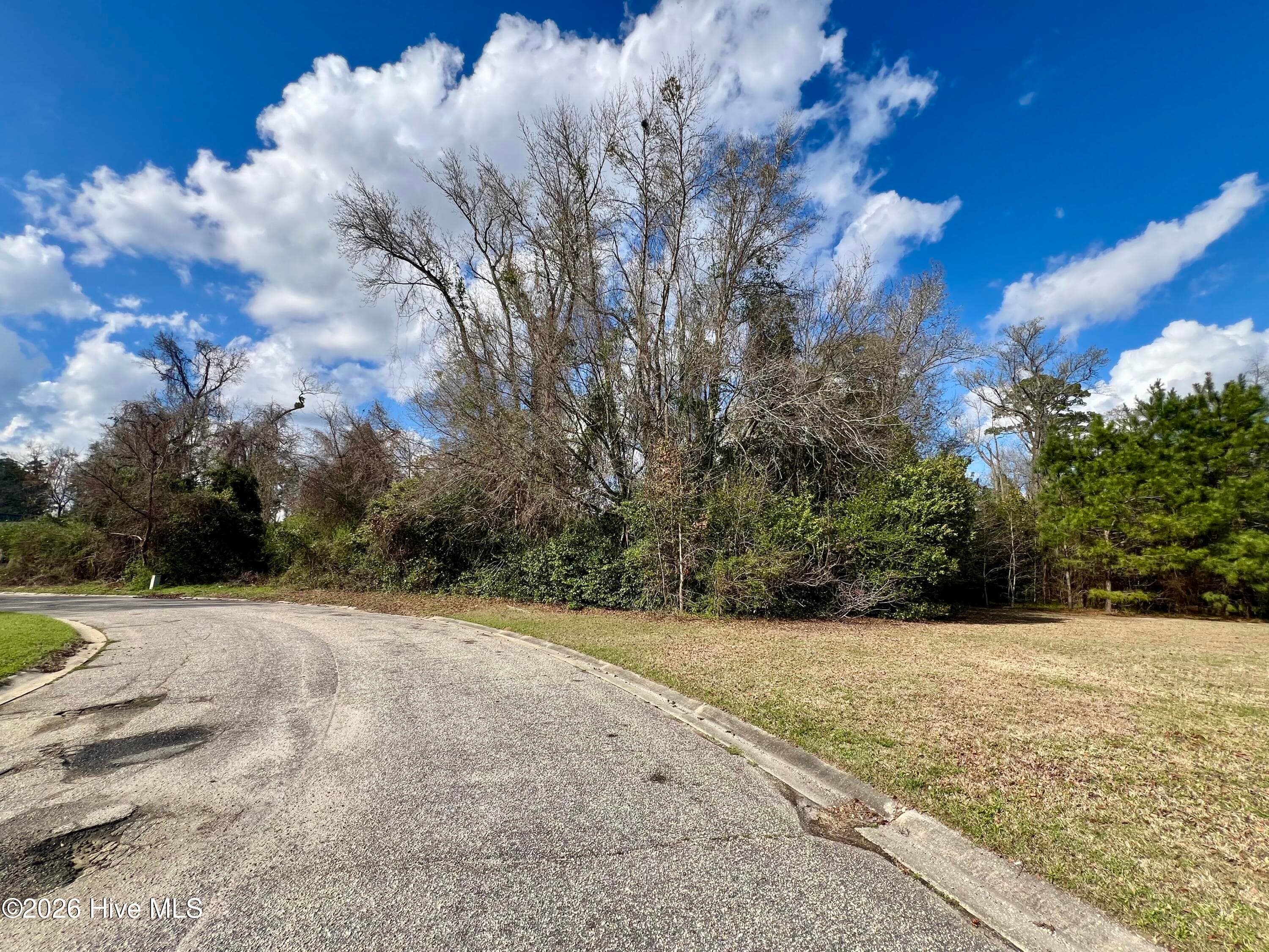 Wooded at 615 Pecan Lane, Whiteville, NC 28472, photo 9 of 10