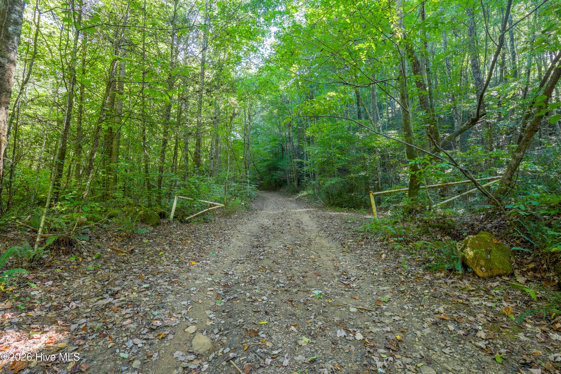 Wooded at 90 Ac Tree House Road, Andrews, NC 28901, photo 2 of 19