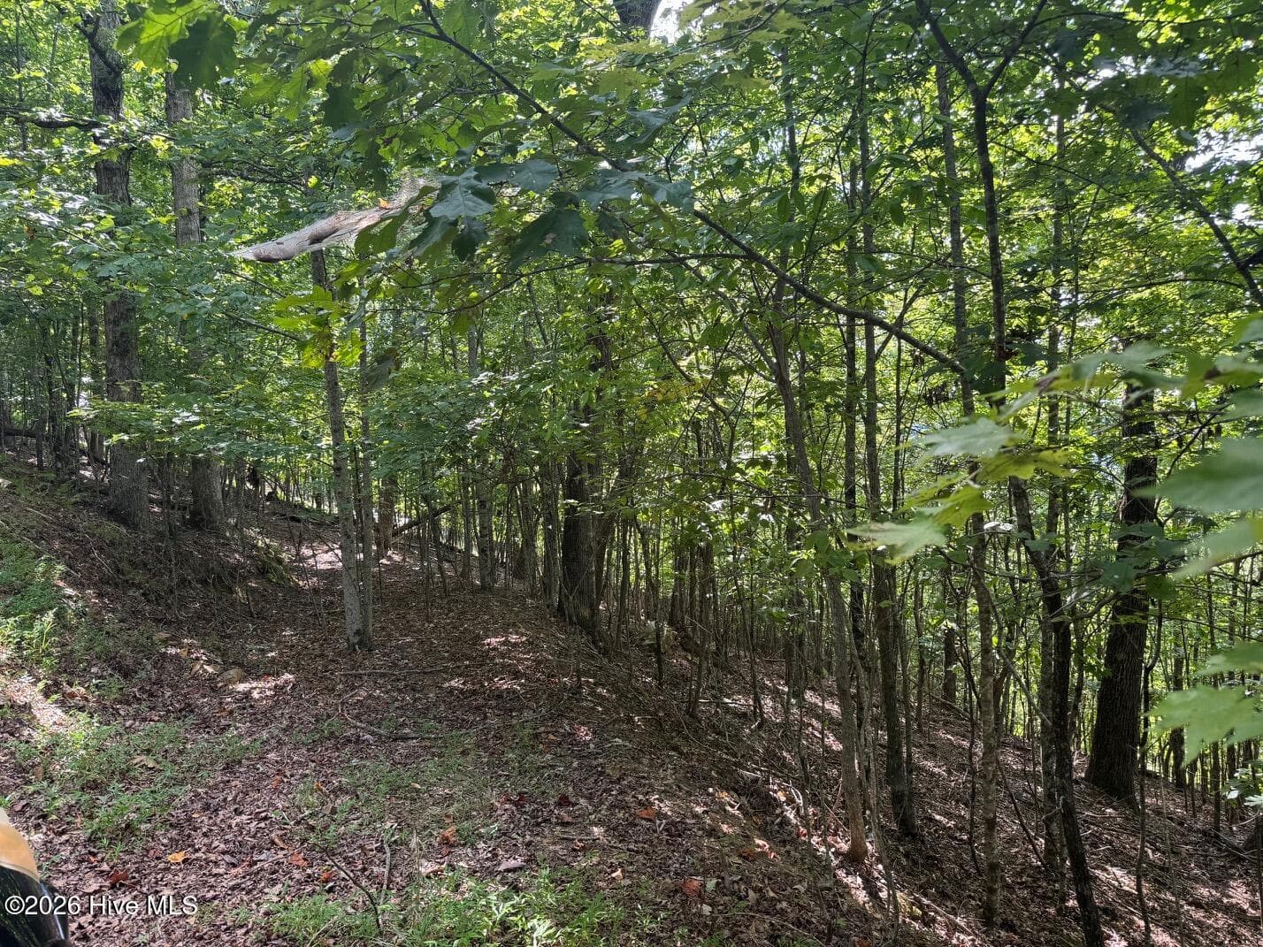 Wooded at 18 Mason Way, Murphy, NC 28906, photo 6 of 7