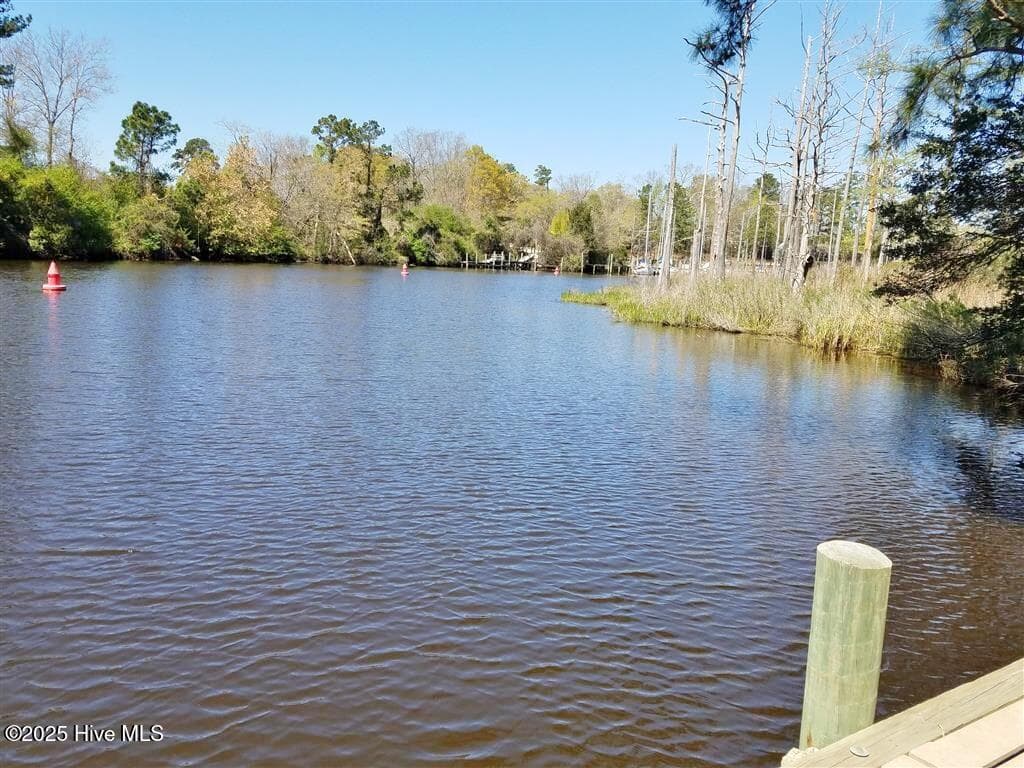461 22 Country Club Drive W, Arapahoe, NC 28510
