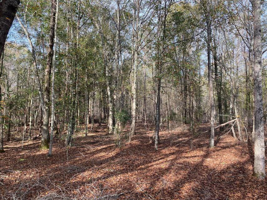 Residential Lot at Lot 12 Robin Boulevard, Swainsboro, GA 30401, photo 6 of 11