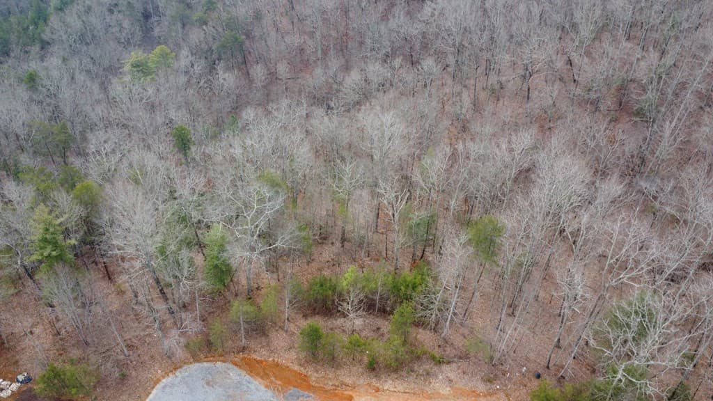 Undeveloped at 300 48 Jernigan Court, Murphy, NC 28906, photo 12 of 12