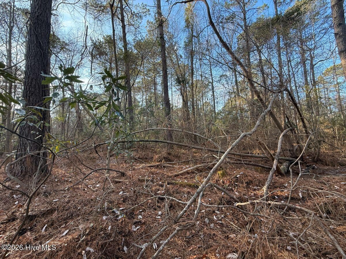 Wooded at 0 Carolina 410, Bladenboro, NC 28320, photo 2 of 2