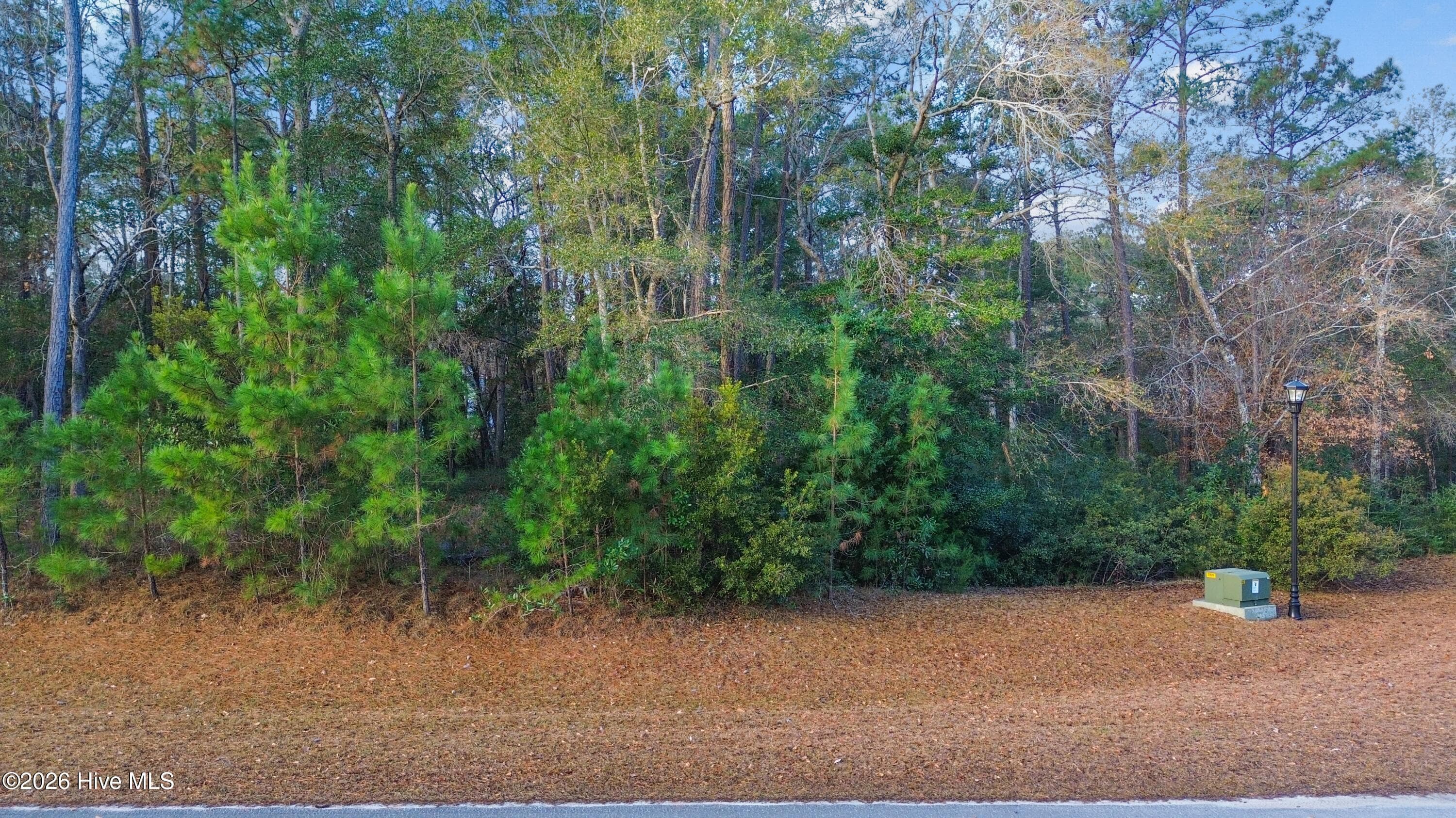 Residential Lot at 3374 55 Portside Drive SW, Supply, NC 28462, photo 2 of 11