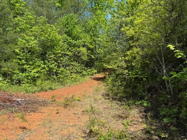 Land at Lot 11 Paradise, Marble, NC 28905, photo 2 of 6