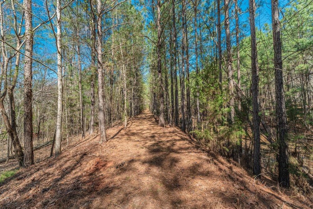 Residential Lot at 1421 14 Dunwoody Place, Appling, GA 30802, photo 12 of 16