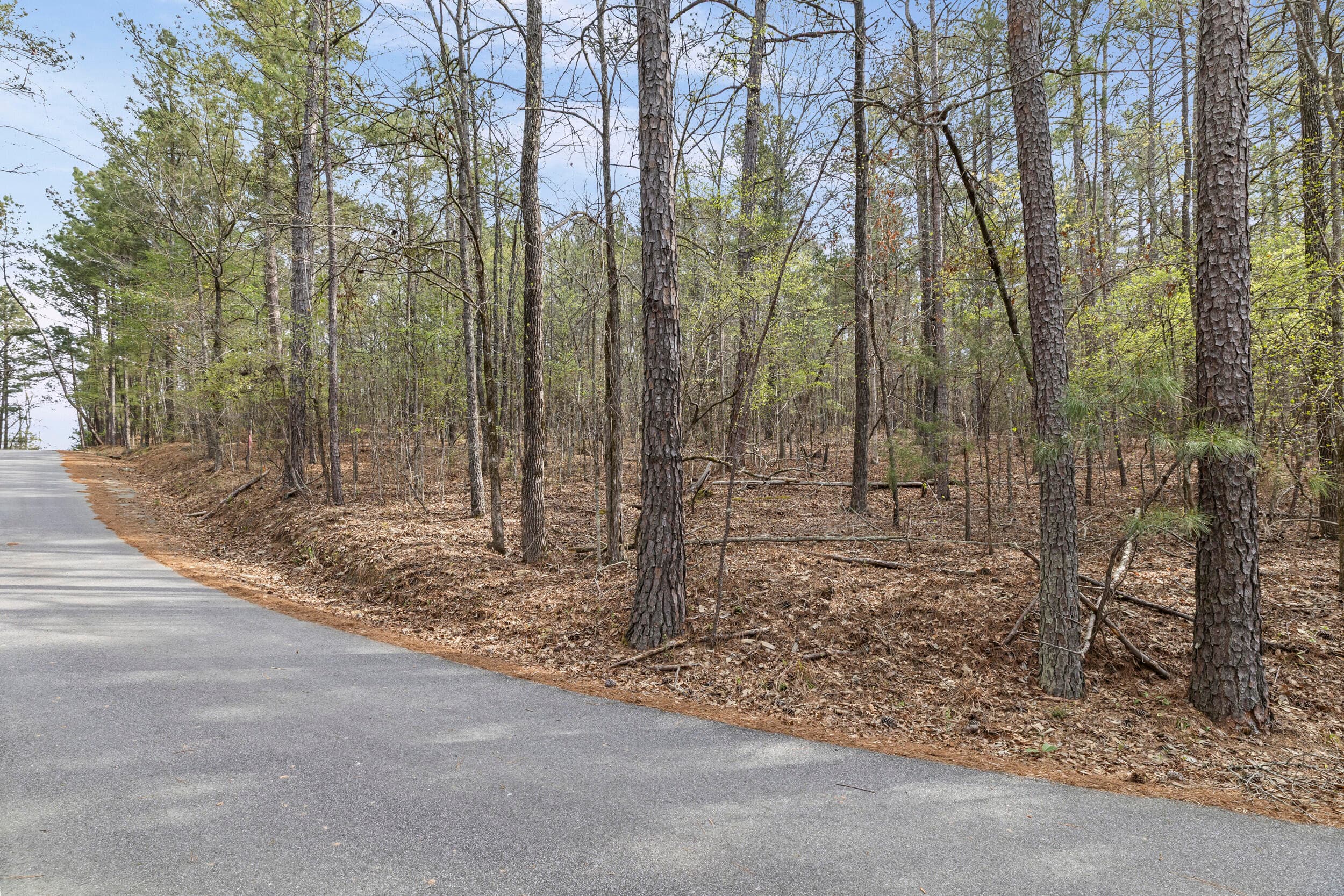 Residential Lot at 0 Lbk Circle, Tignall, GA 30668, photo 5 of 22