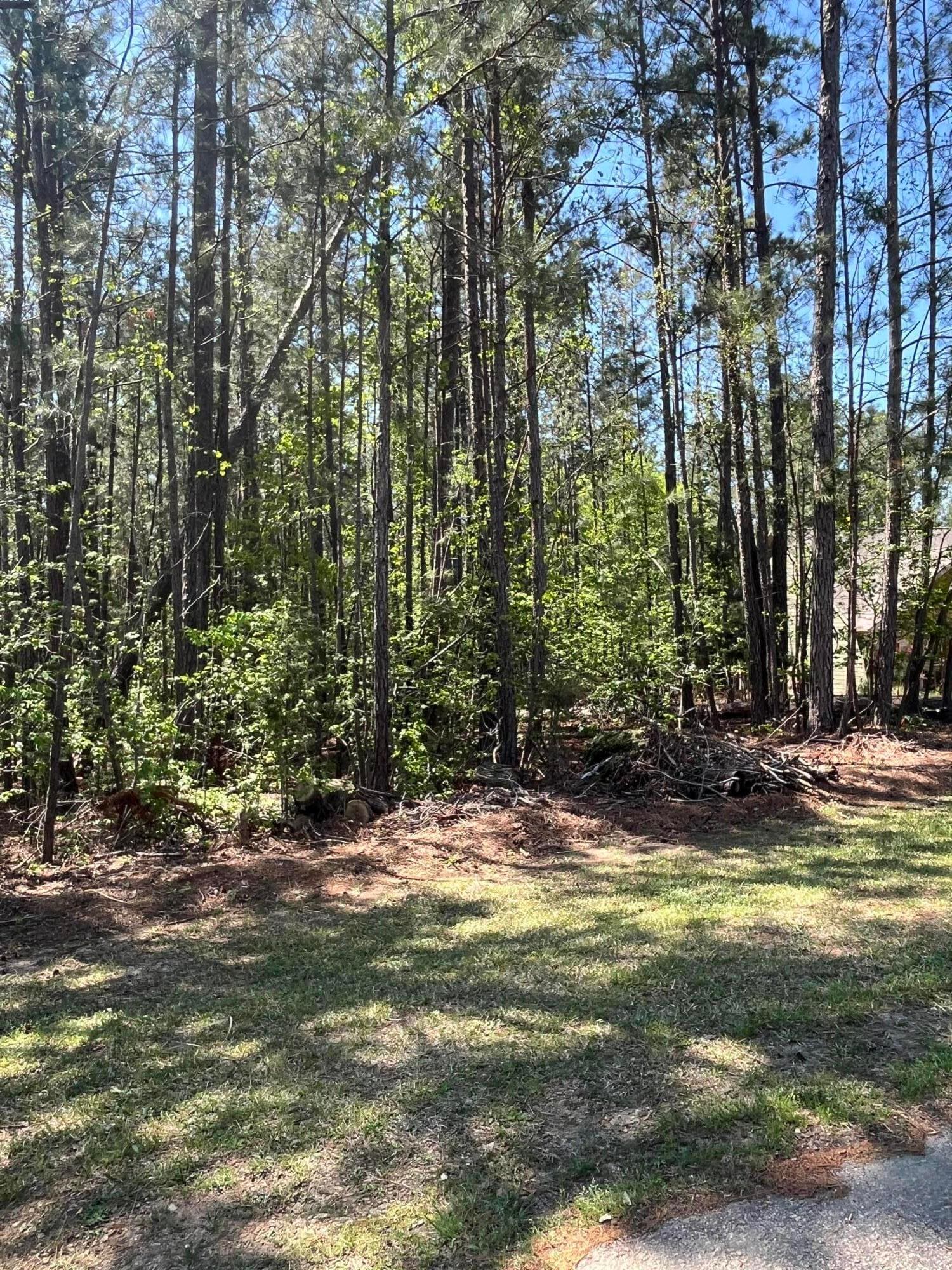 Undeveloped at L14 B39 Antioch Drive, McCormick, SC 29835, photo 6 of 8