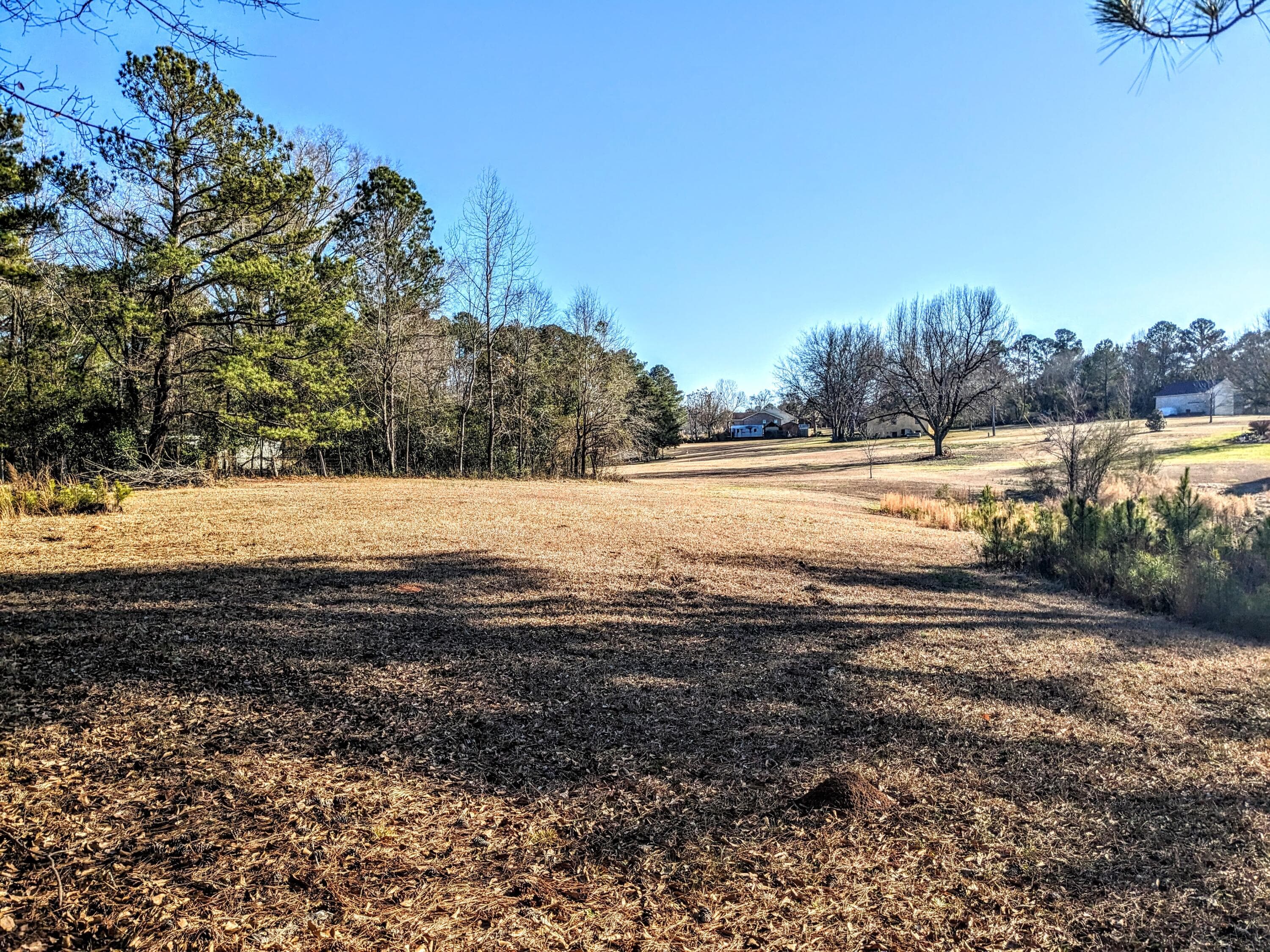 Undeveloped at 484 Dickson Drive, Evans, GA 30809, photo 4 of 4
