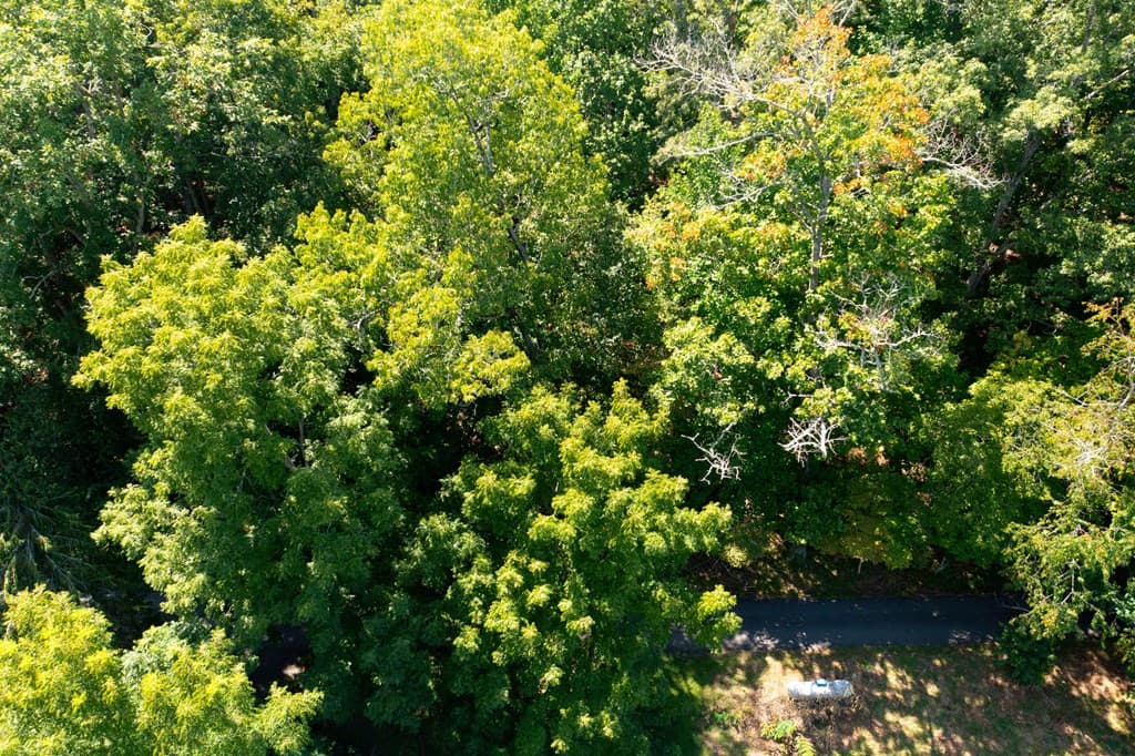 Residential Lot at Lot 6 6 Kilpatrick Point Lane, Hayesville, NC 28904, photo 9 of 11