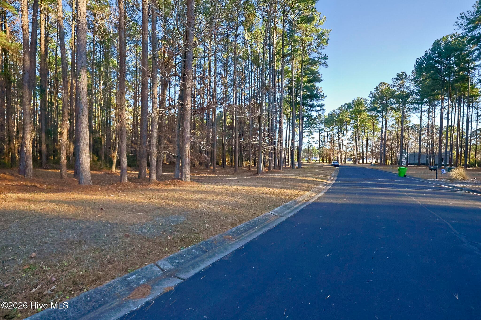 Wooded at 88 22 Cape Hatteras Point, Oriental, NC 28571, photo 7 of 9