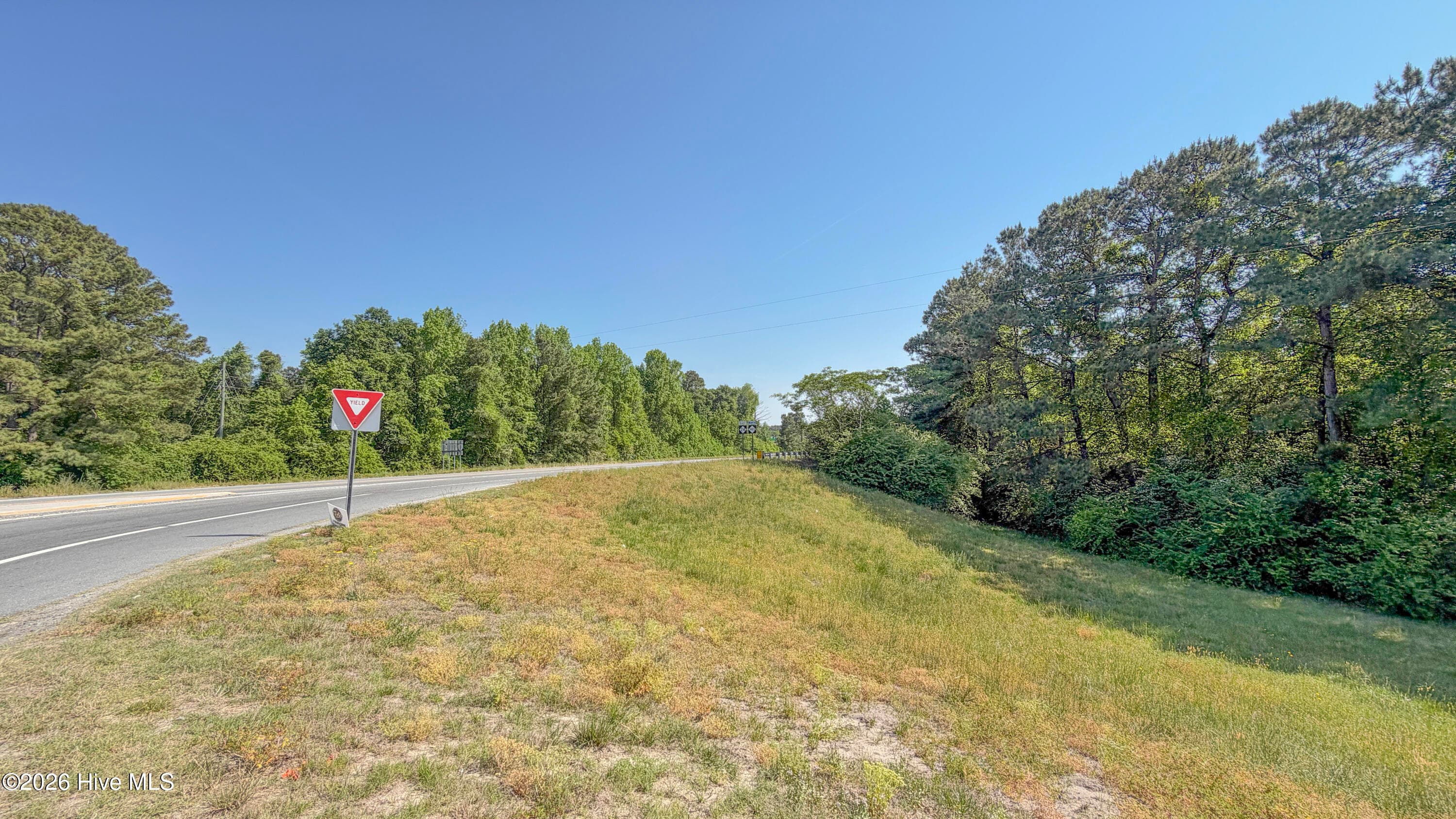 Undeveloped at 1300 Nc-11, Magnolia, NC 28453, photo 13 of 25