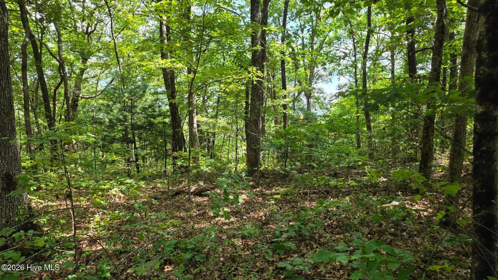 Lot 17 Outlook Road, Murphy, NC 28906