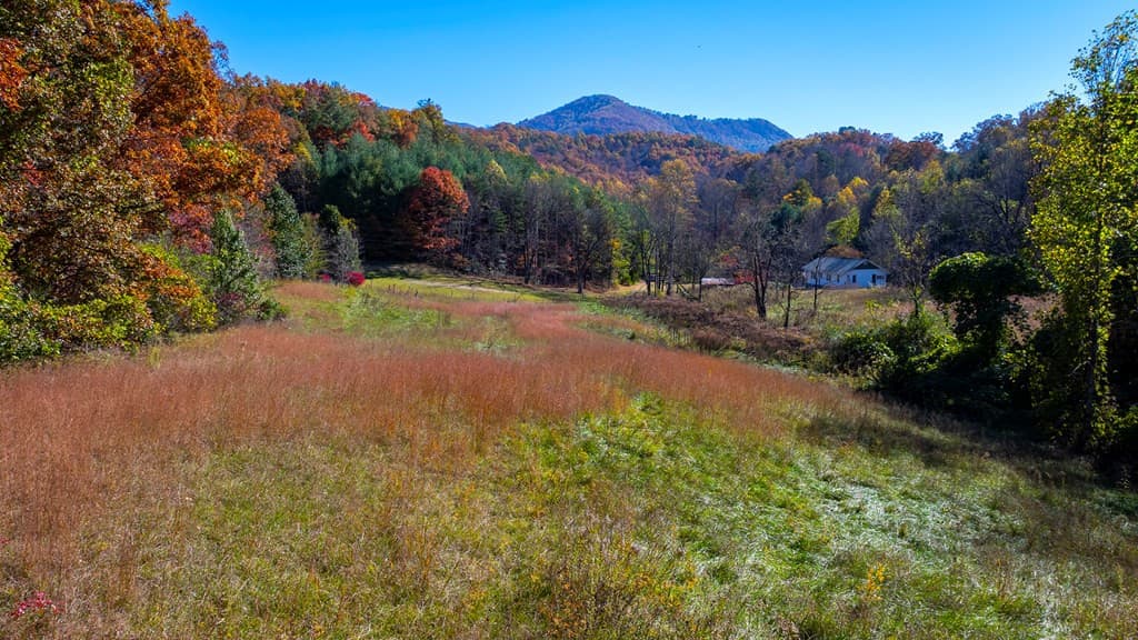 Commercial Sale at 173&130 Edwards Cove Road, Bryson City, NC 28713, photo 5 of 15