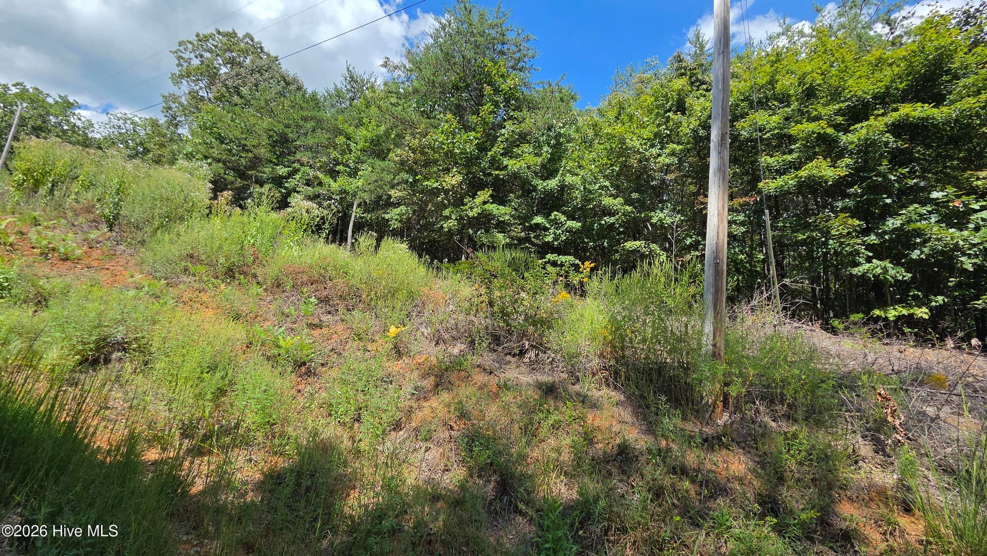 Lot 9 9 Wolf Ridge Lane, Murphy, NC 28906