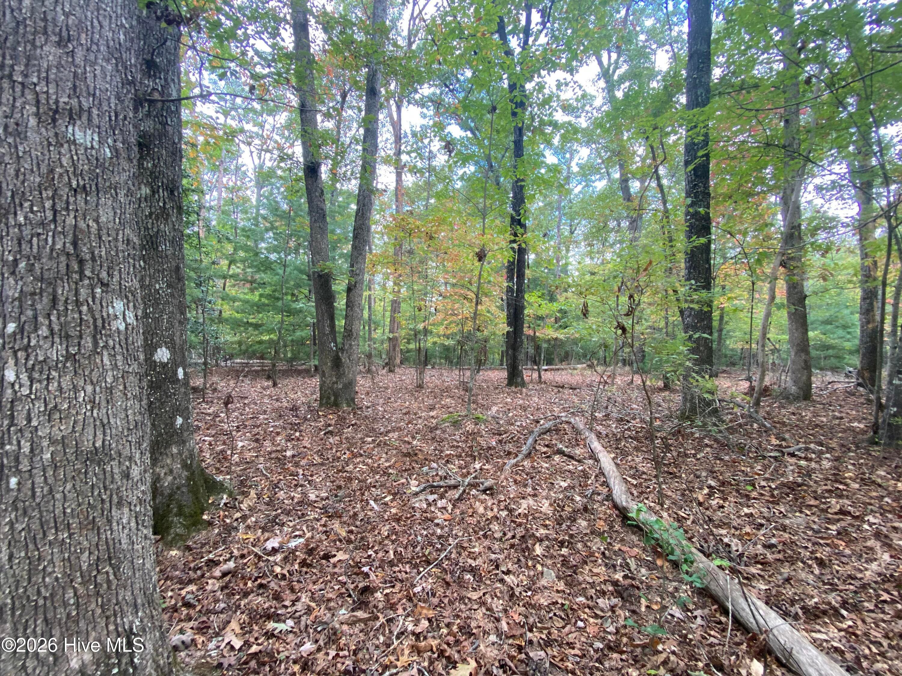 Wooded at 14 14 Mission Ridge, Hayesville, NC 28904, Hayesville, photo 7 of 14