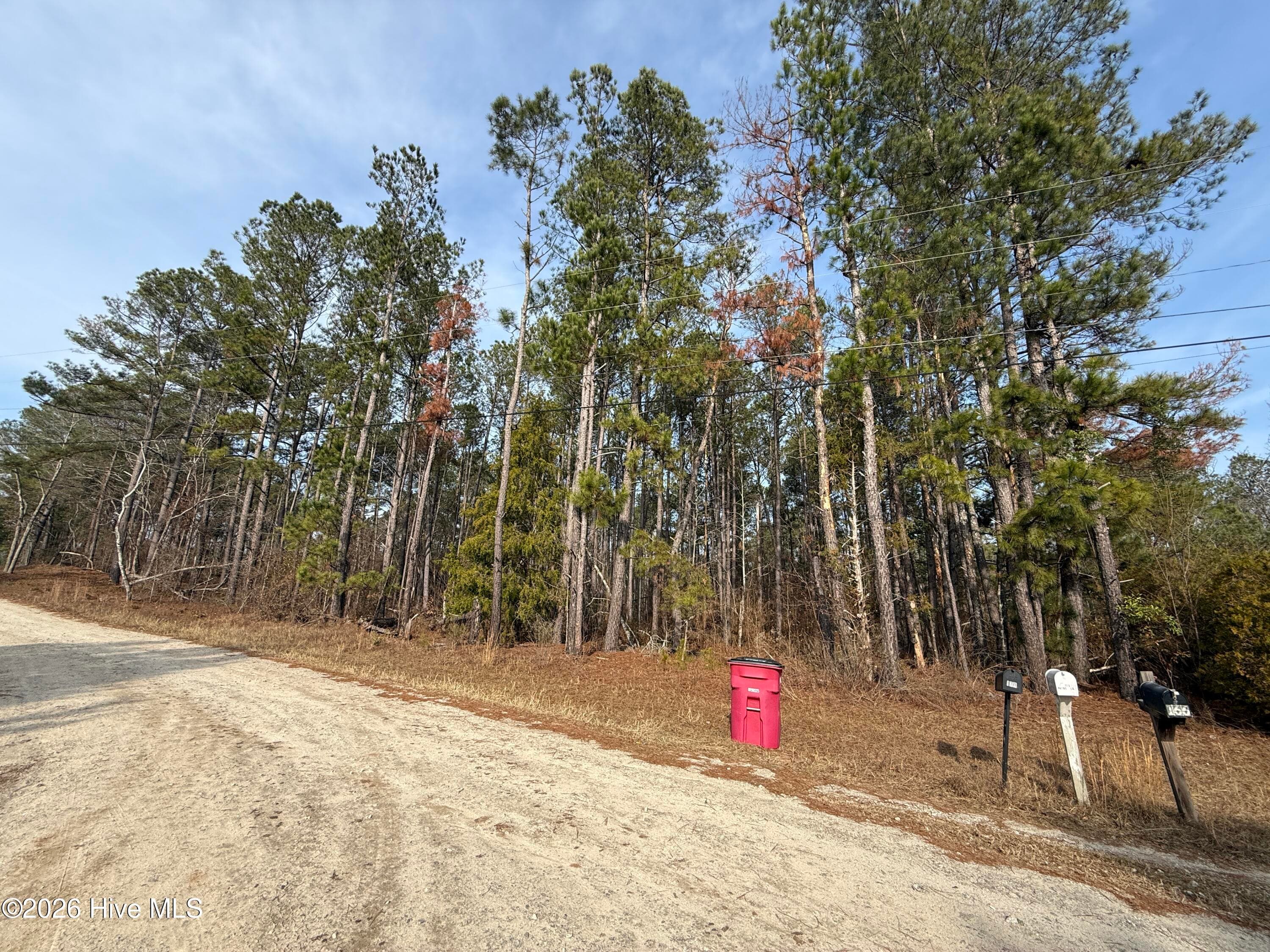 Residential Lot at 165 Wayne Lane, Hephzibah, GA 30815, photo 5 of 12