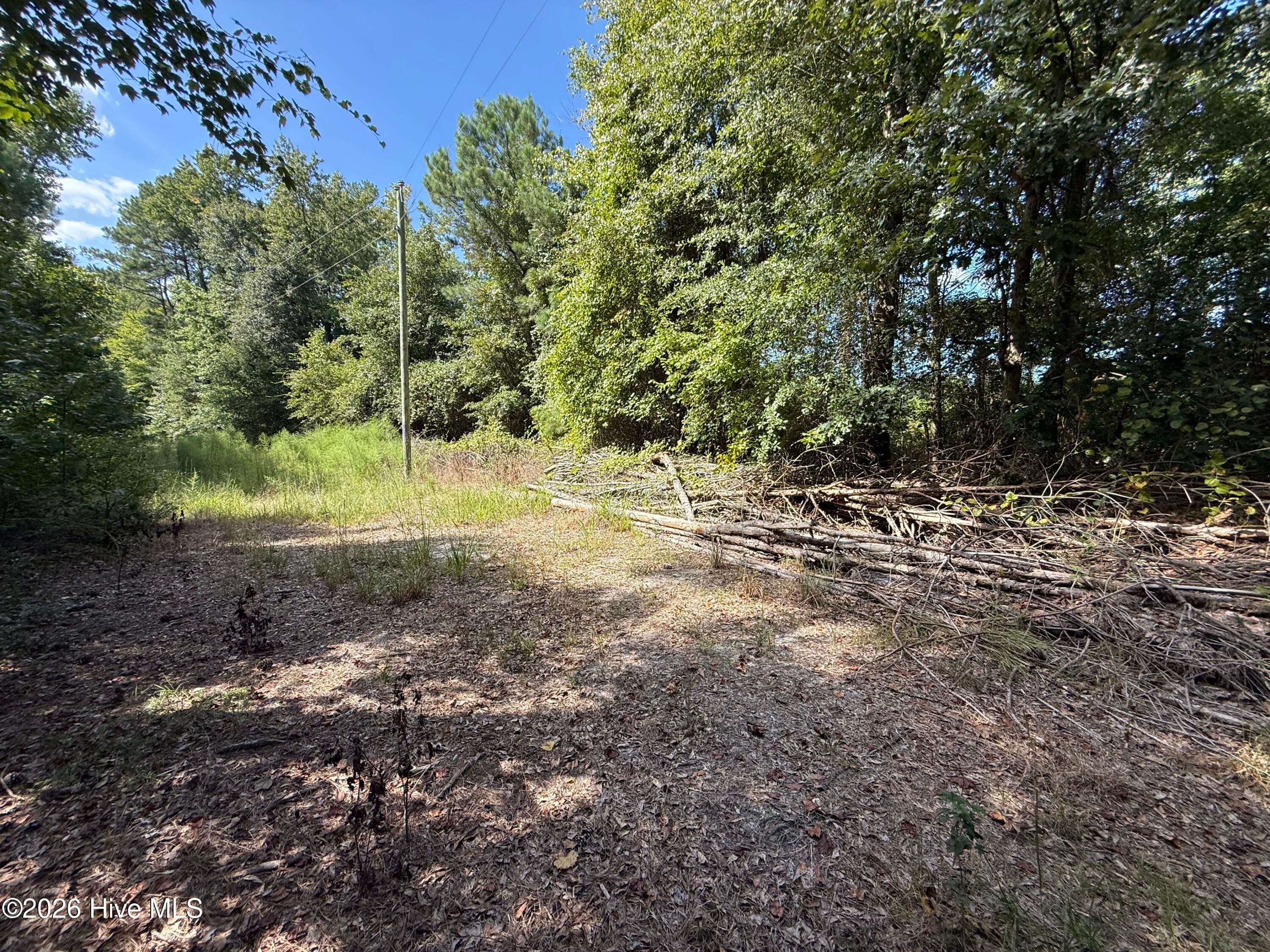 Wooded at Tbd Point Caswell Road, Atkinson, NC 28421, photo 16 of 16