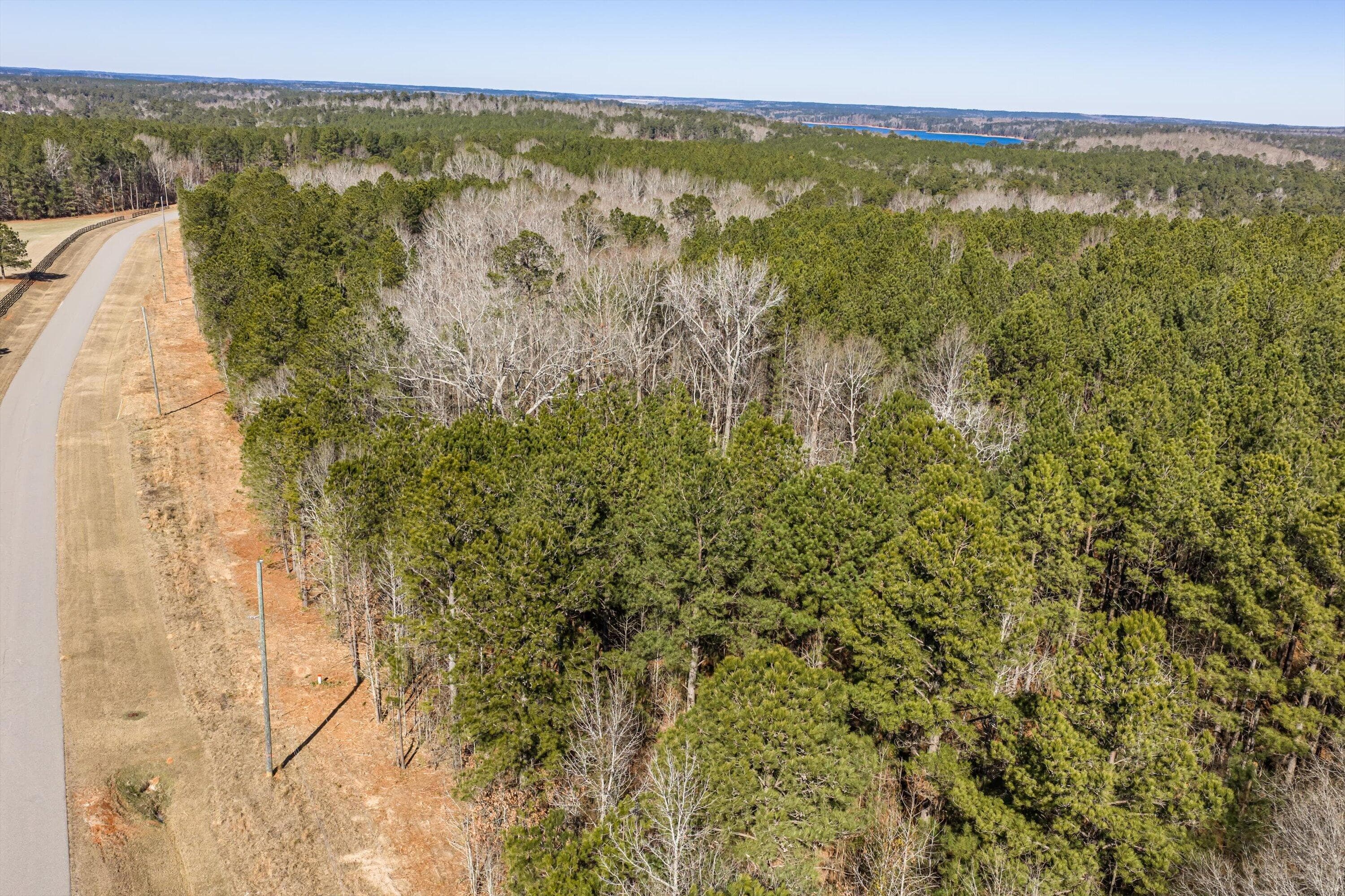 Residential Lot at 1036 116 Chennault Drive, Tignall, GA 30668, photo 12 of 18