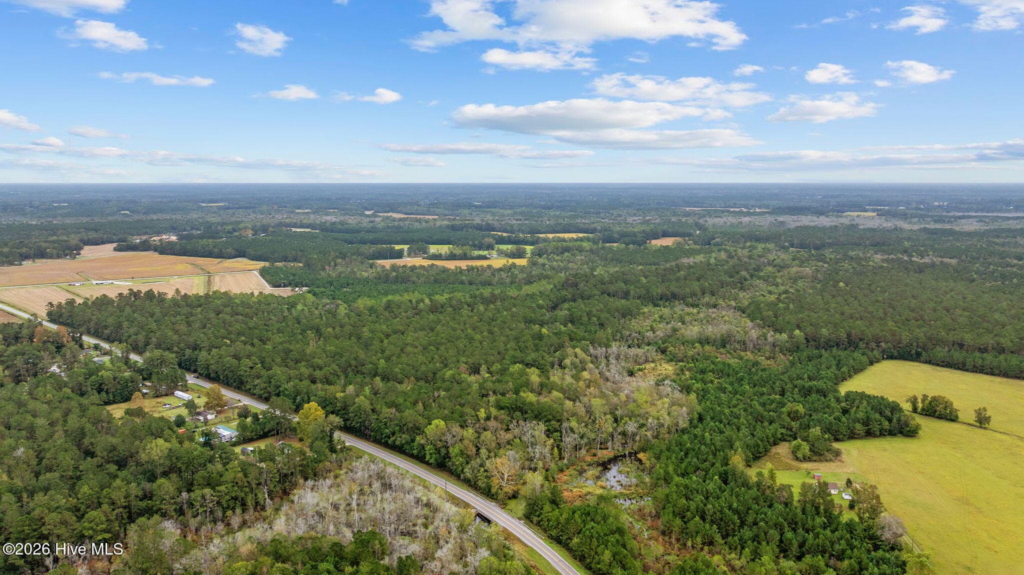 Wooded at 50ac Near 22984 Peacock R Road, Tabor City, NC 28463, photo 5 of 6