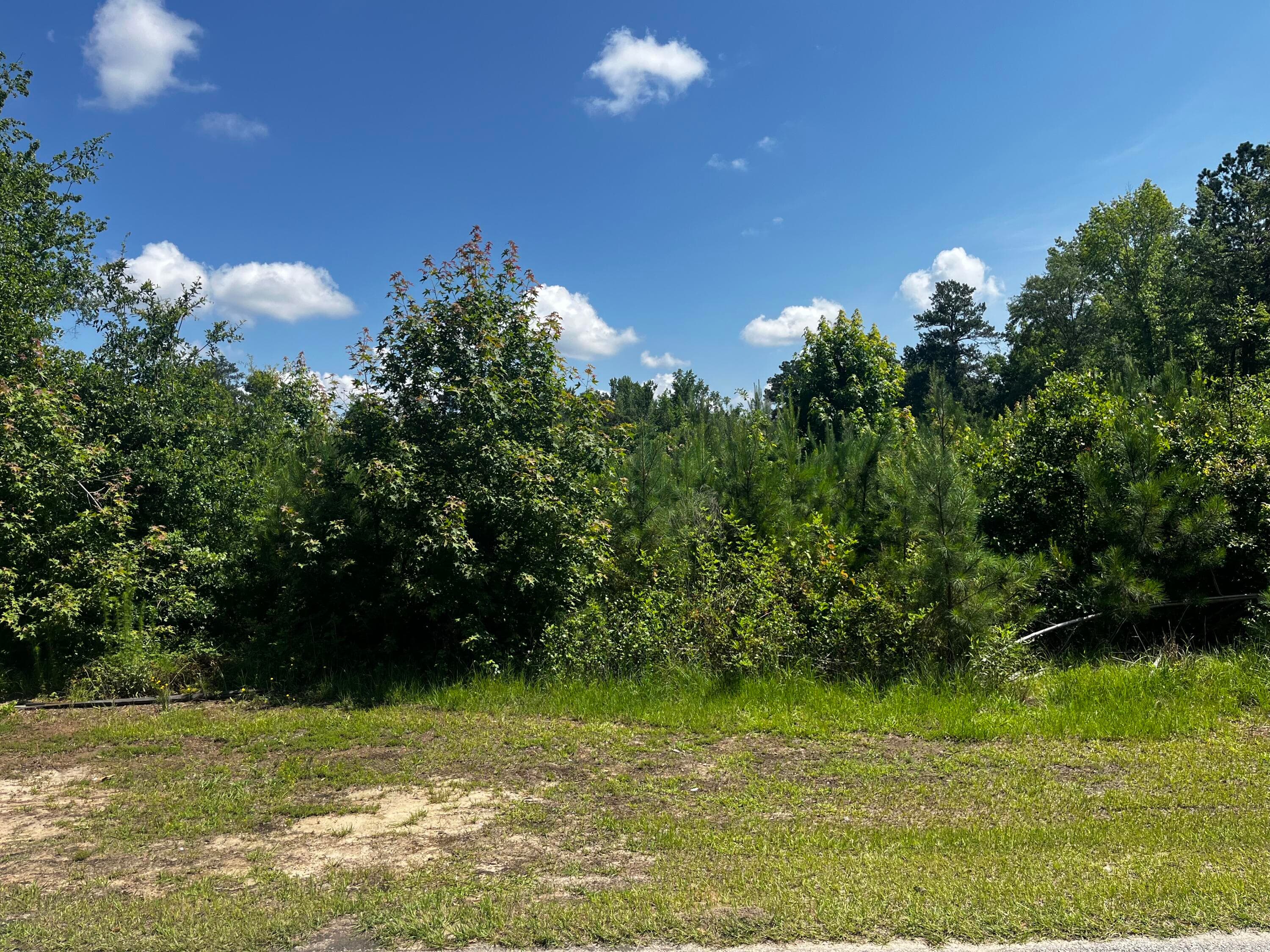 0 Young Street, Wrens, GA 30833
