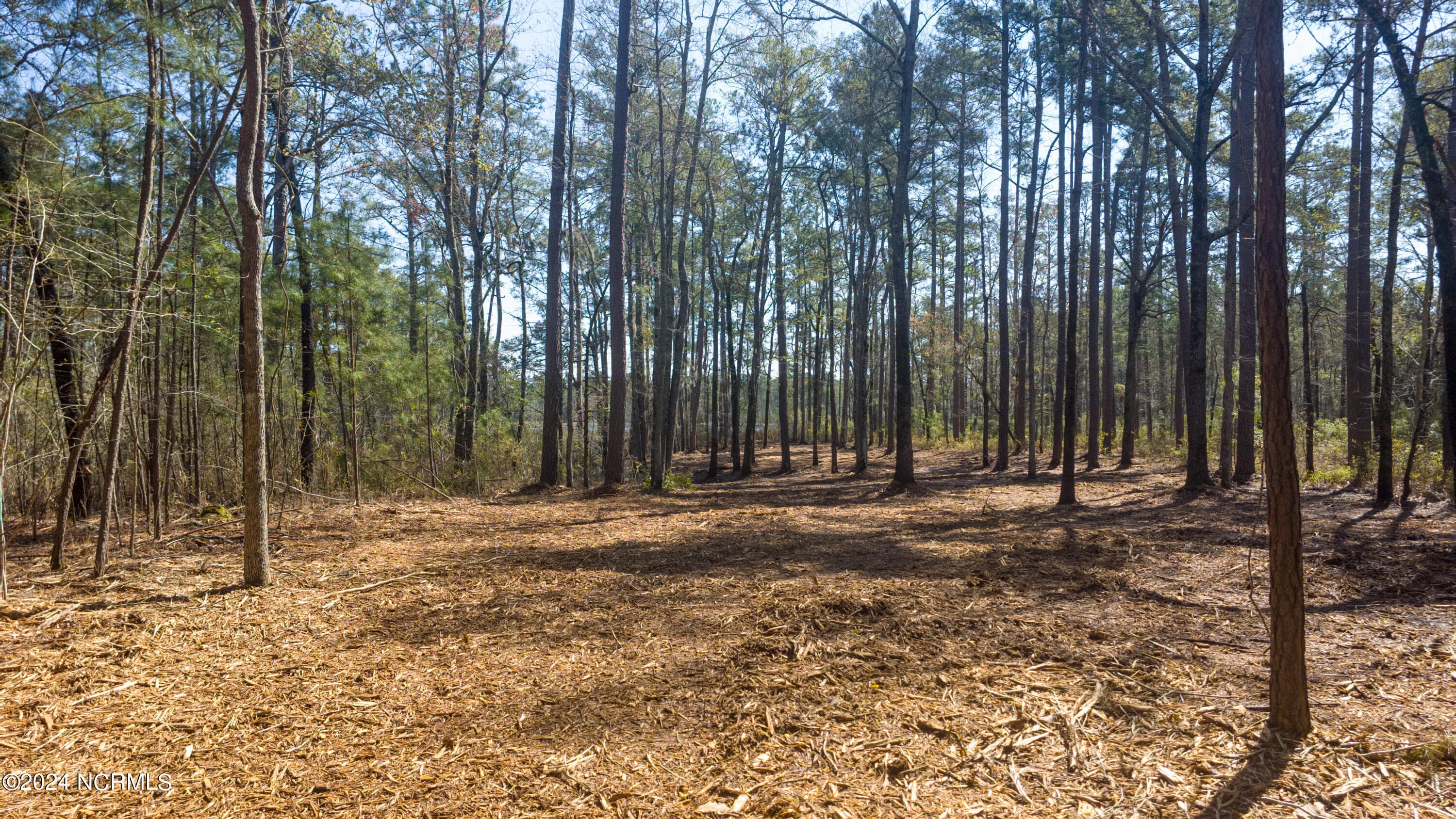 Residential Land at 15 Alexander Drive, Belhaven, NC 27810, photo 9 of 15