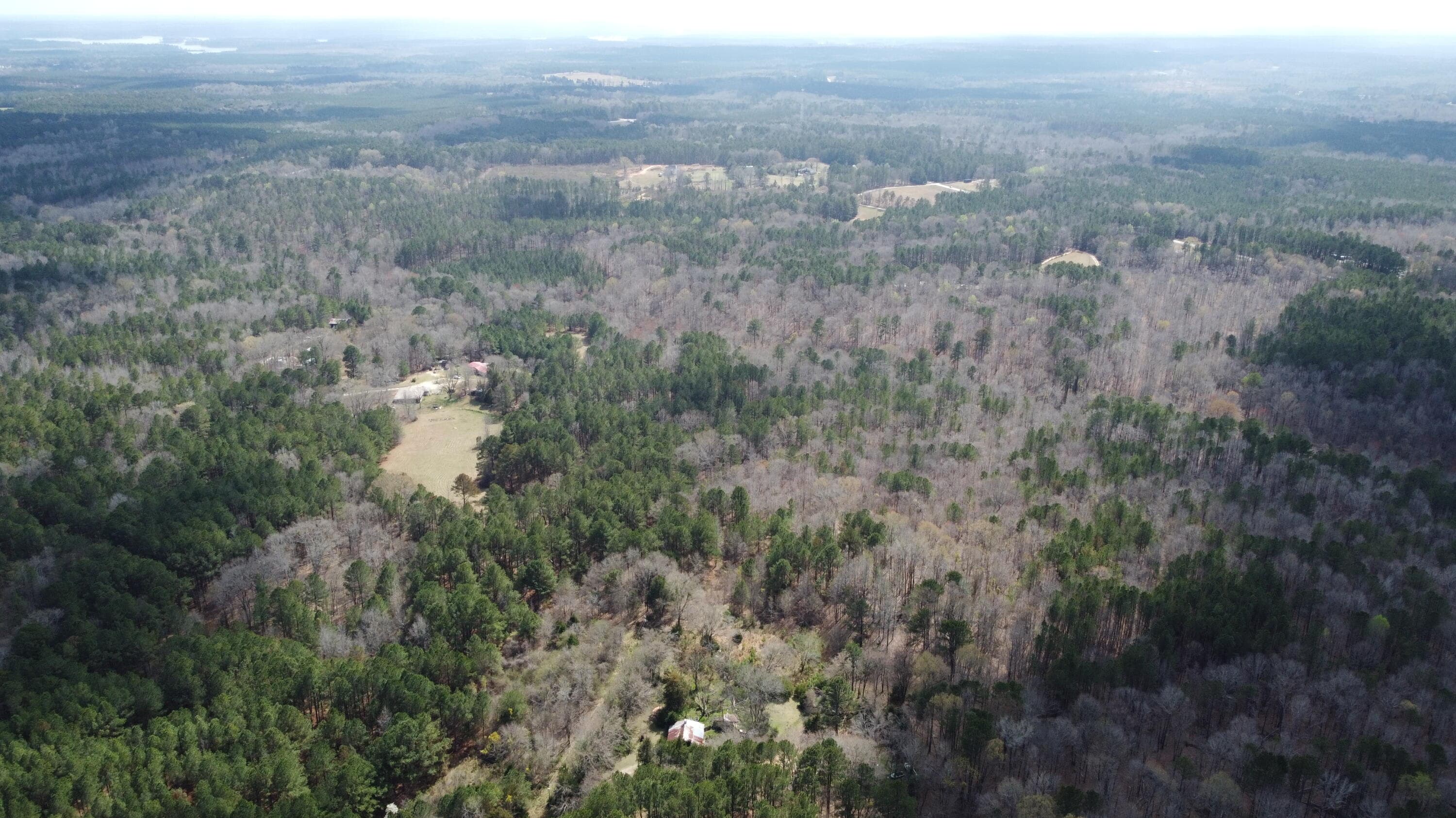 Undeveloped at 27.2 Ac John Lewis Drive, Lincolnton, GA 30817, photo 4 of 12