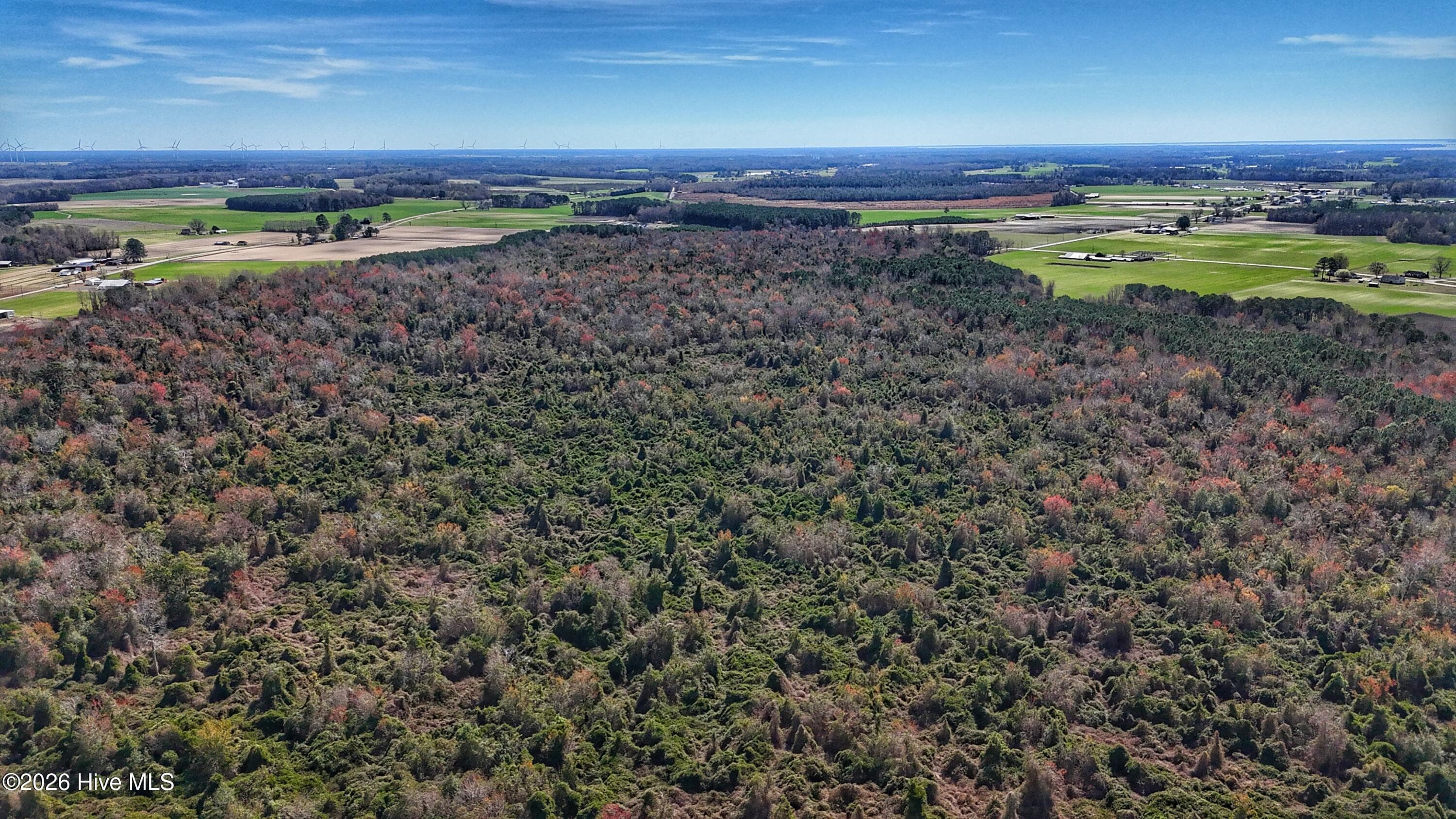 Wooded at 1612 Rocky Hock Landing Road, Edenton, NC 27932, photo 19 of 45