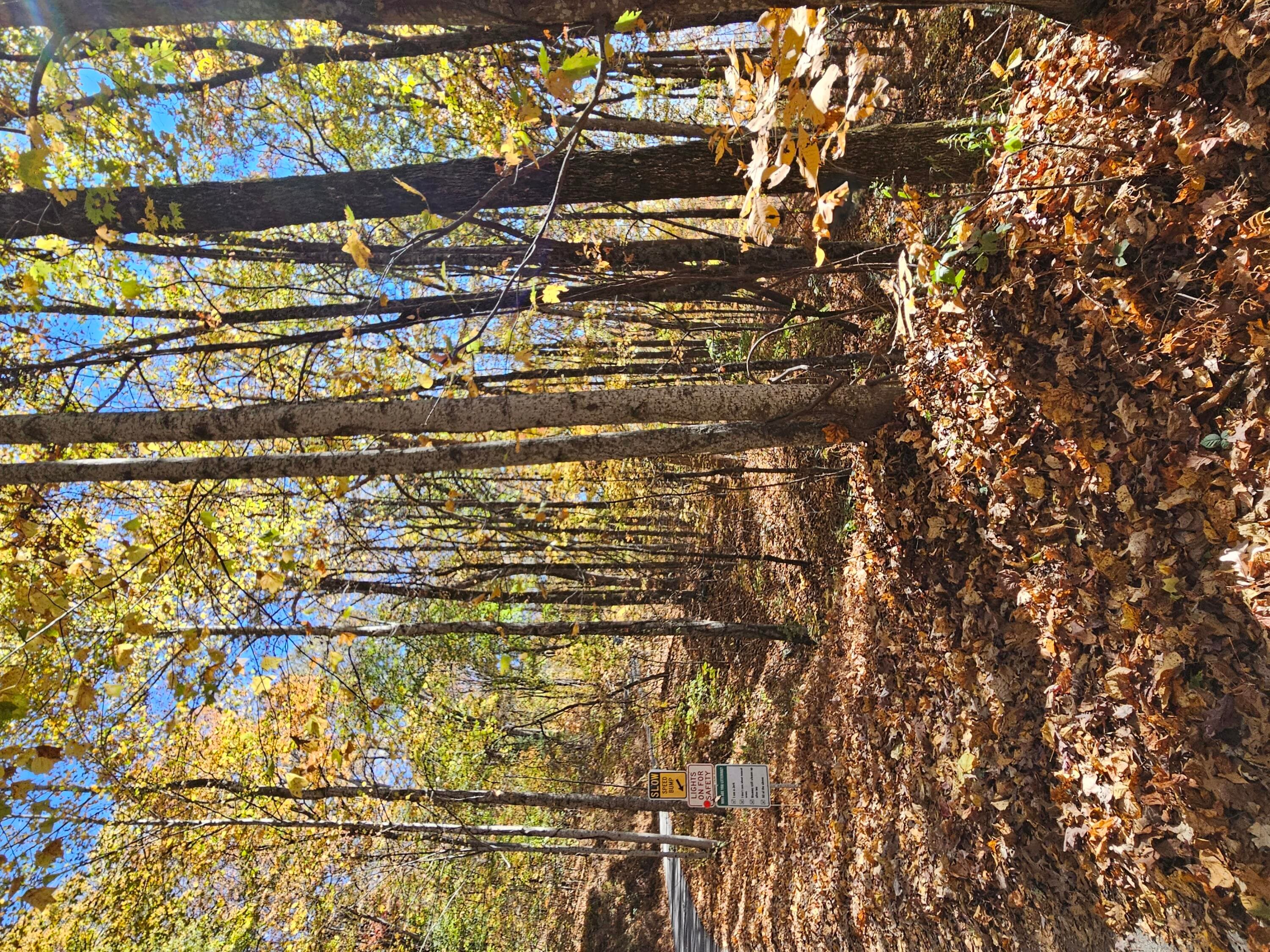 Undeveloped at 0 Confederate Drive, Clayton, GA 30525, photo 18 of 30