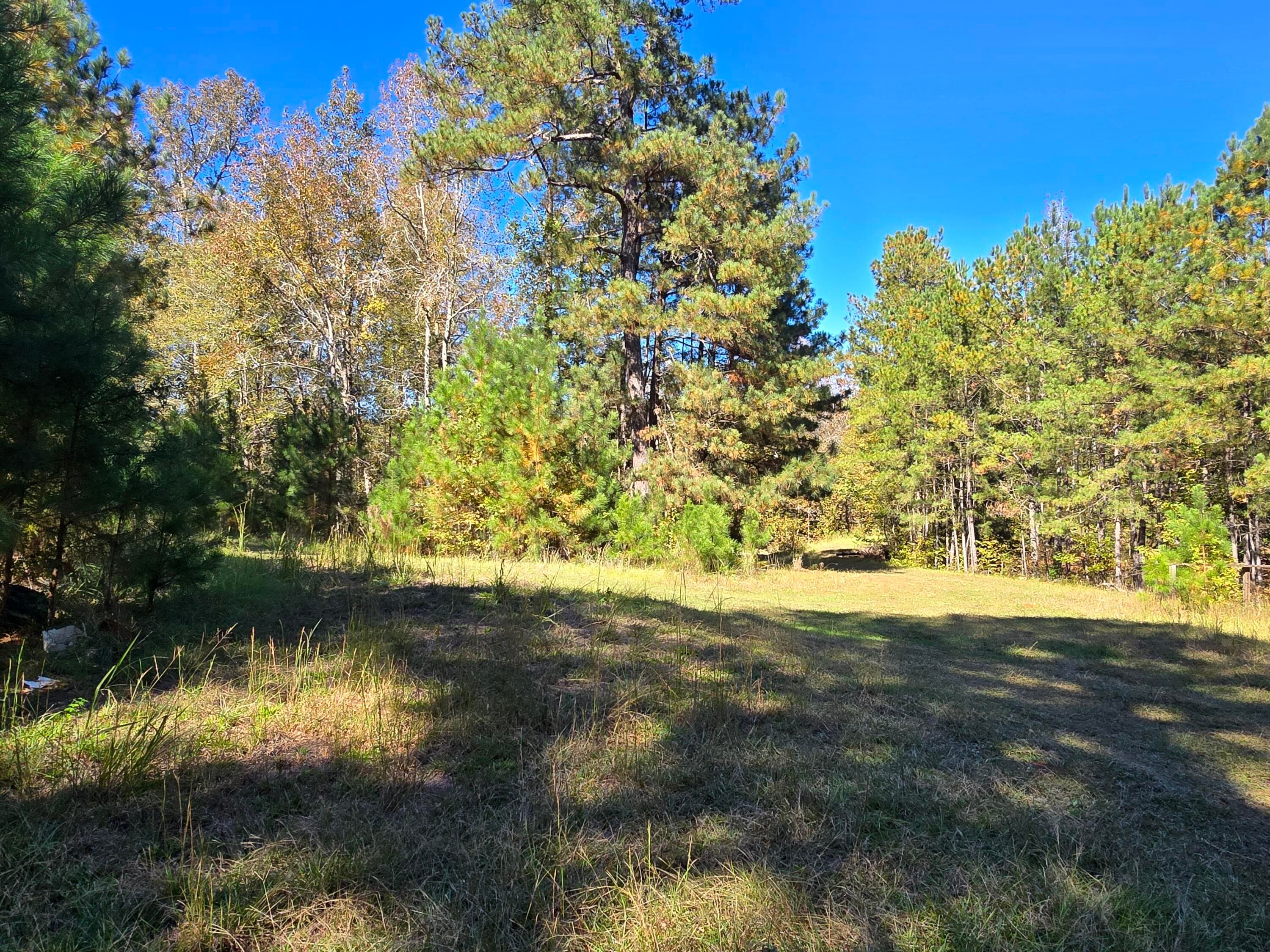 Mixed Use at 7501 Rainey Morris Road, Appling, GA 30802, photo 30 of 47
