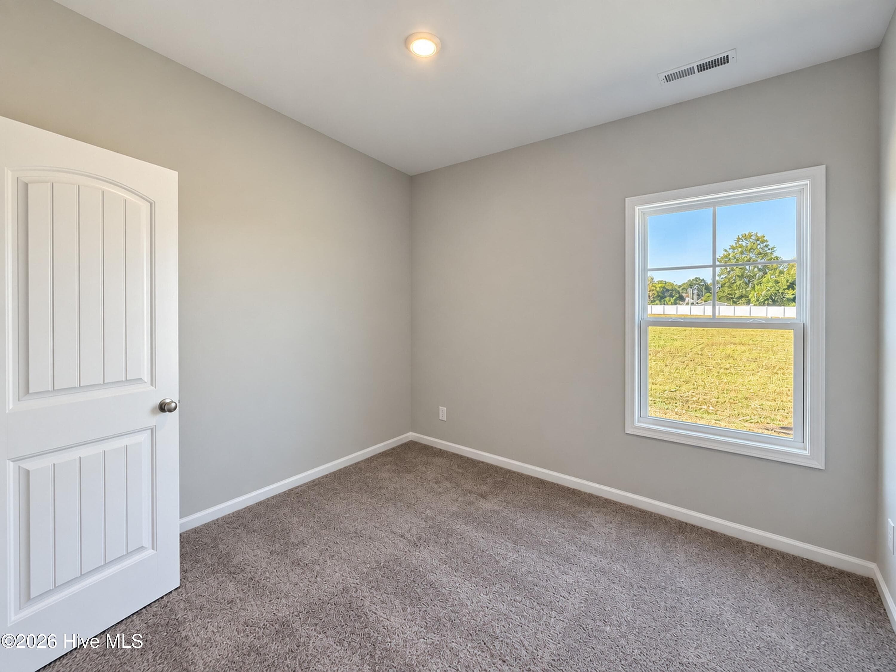 Single Family Residence at 37 Fiddleneck Court, Selma, NC 27576, photo 242 of 279